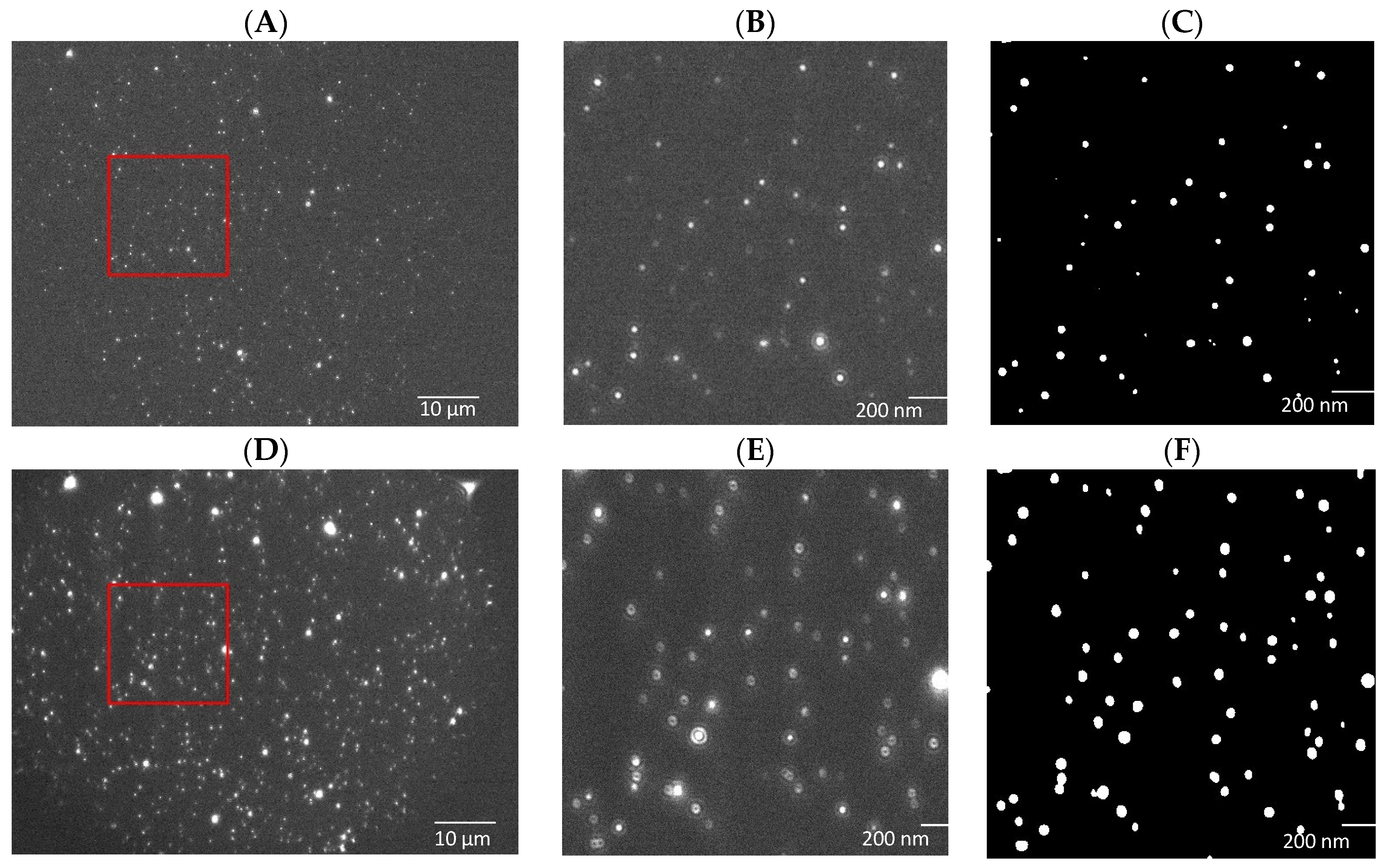 Nanomaterials 14 01739 g001