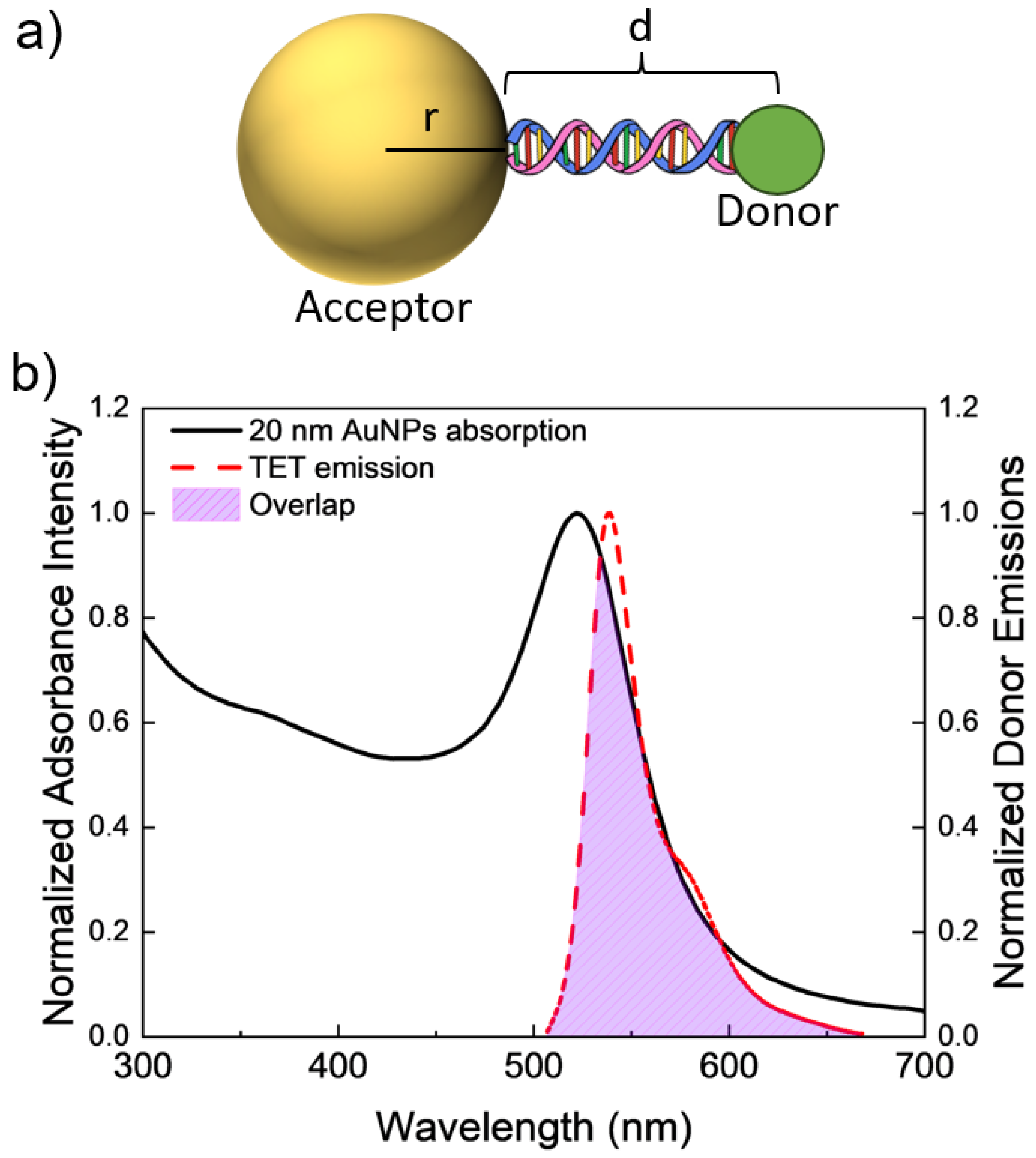 Nanomaterials 14 01741 g001
