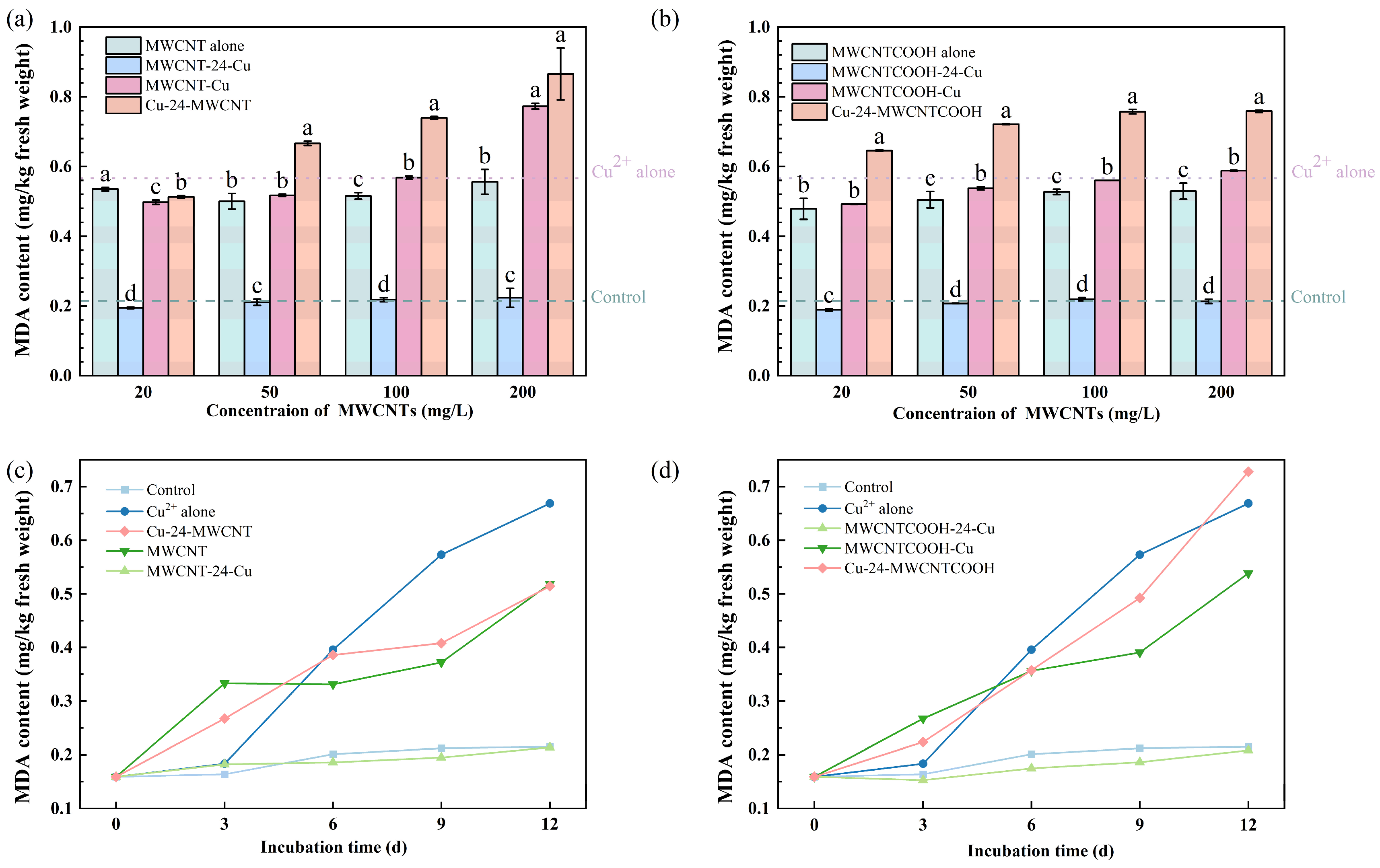 Nanomaterials 14 01746 g004