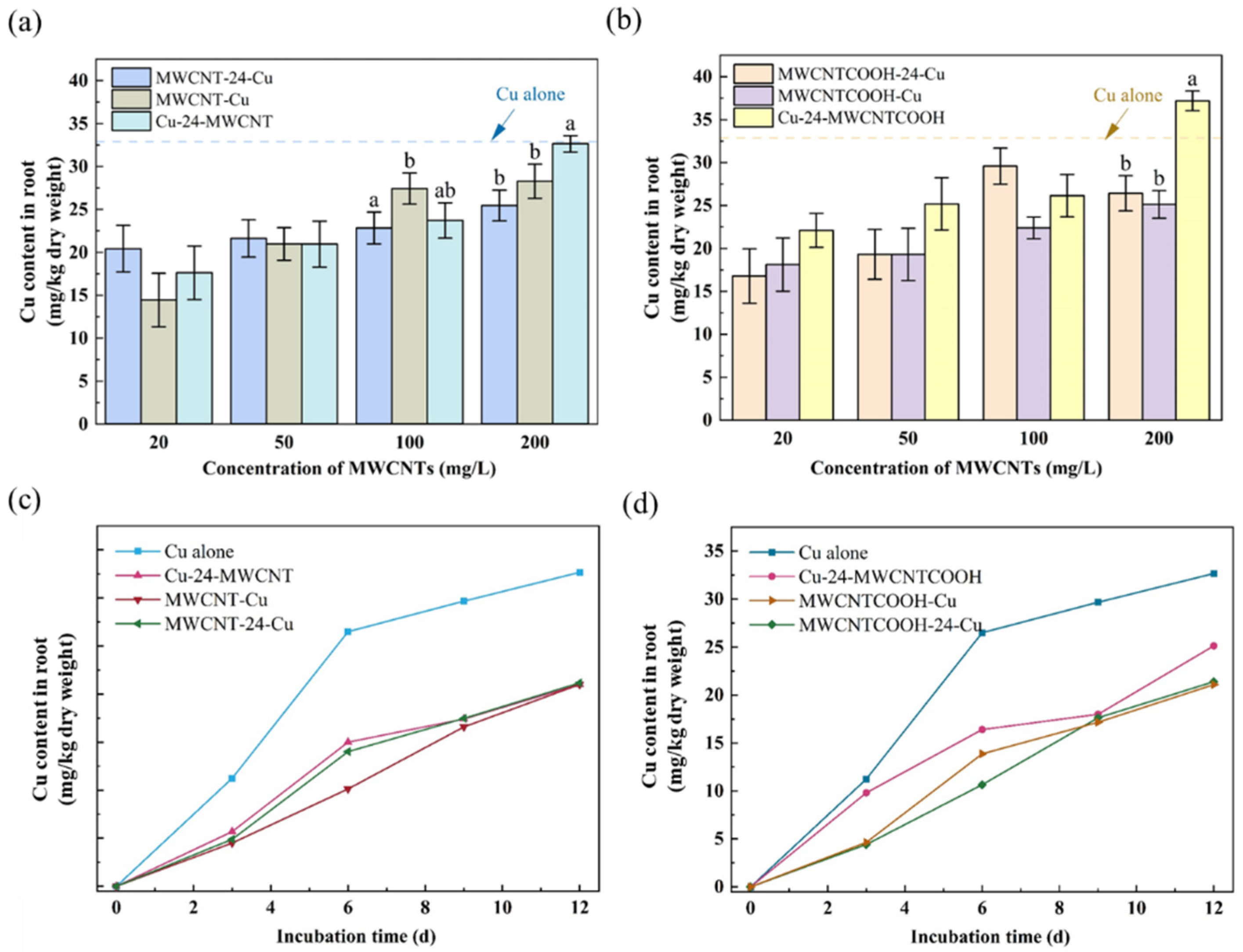 Nanomaterials 14 01746 g005
