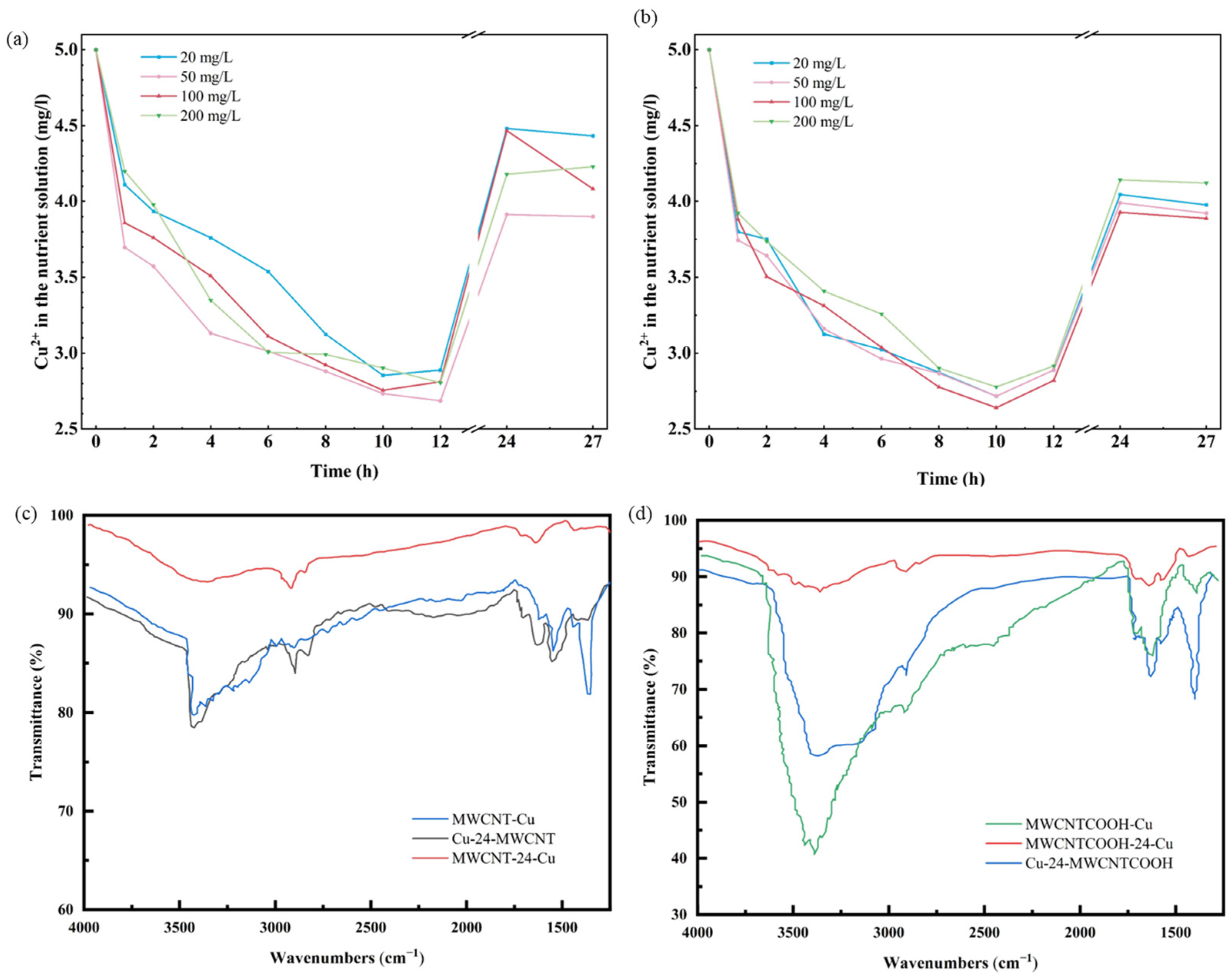 Nanomaterials 14 01746 g006