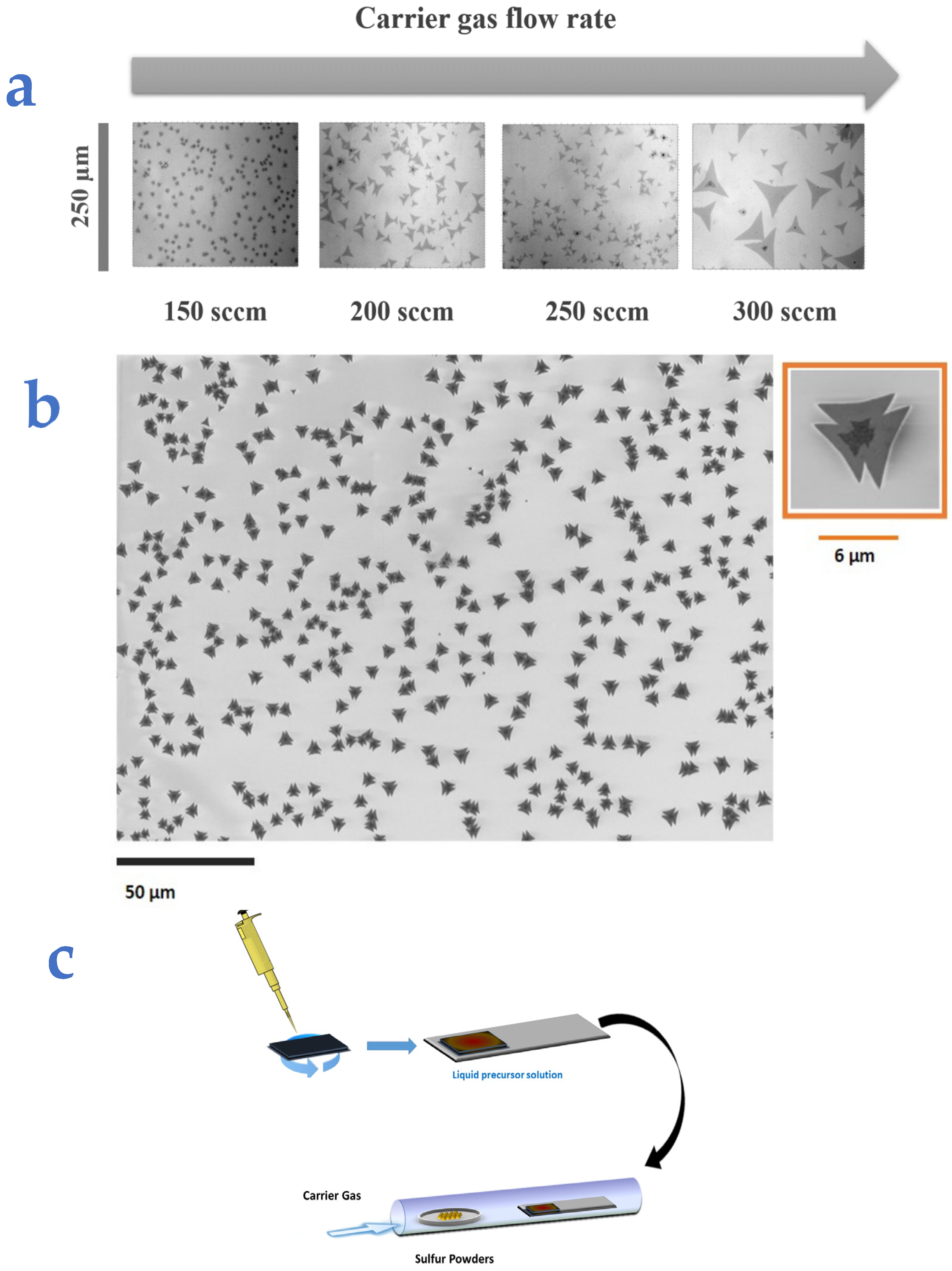 Nanomaterials 14 01749 g001