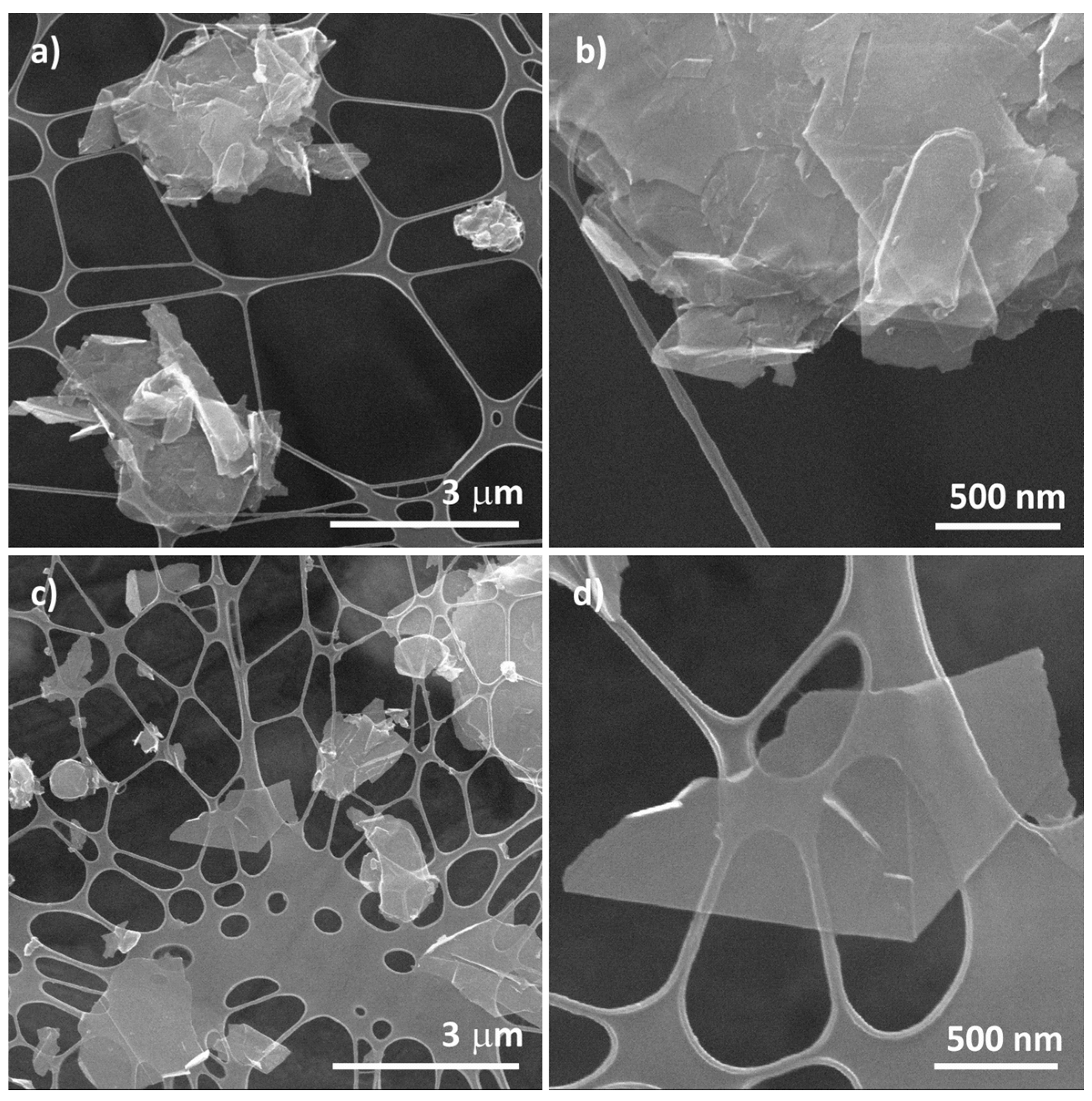 Nanomaterials 14 01754 g008