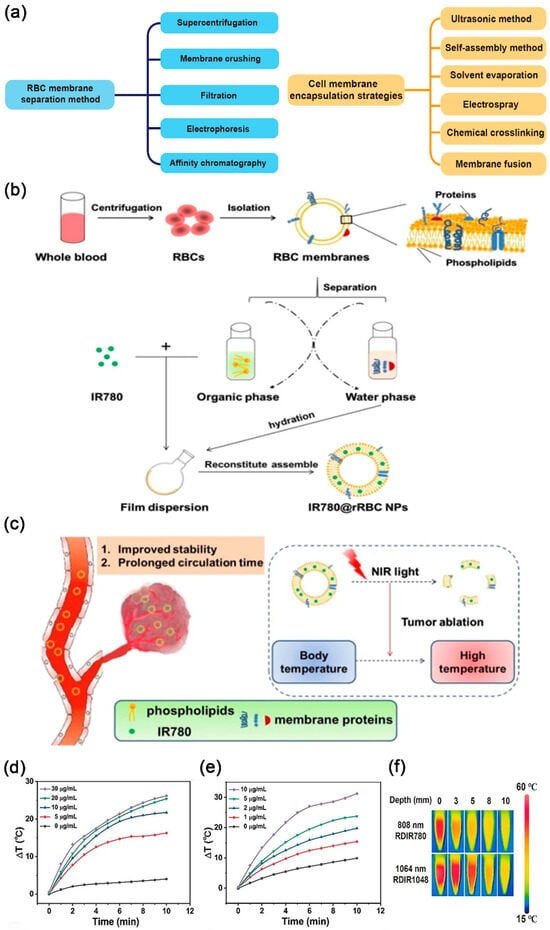 Nanomaterials 14 01757 g001