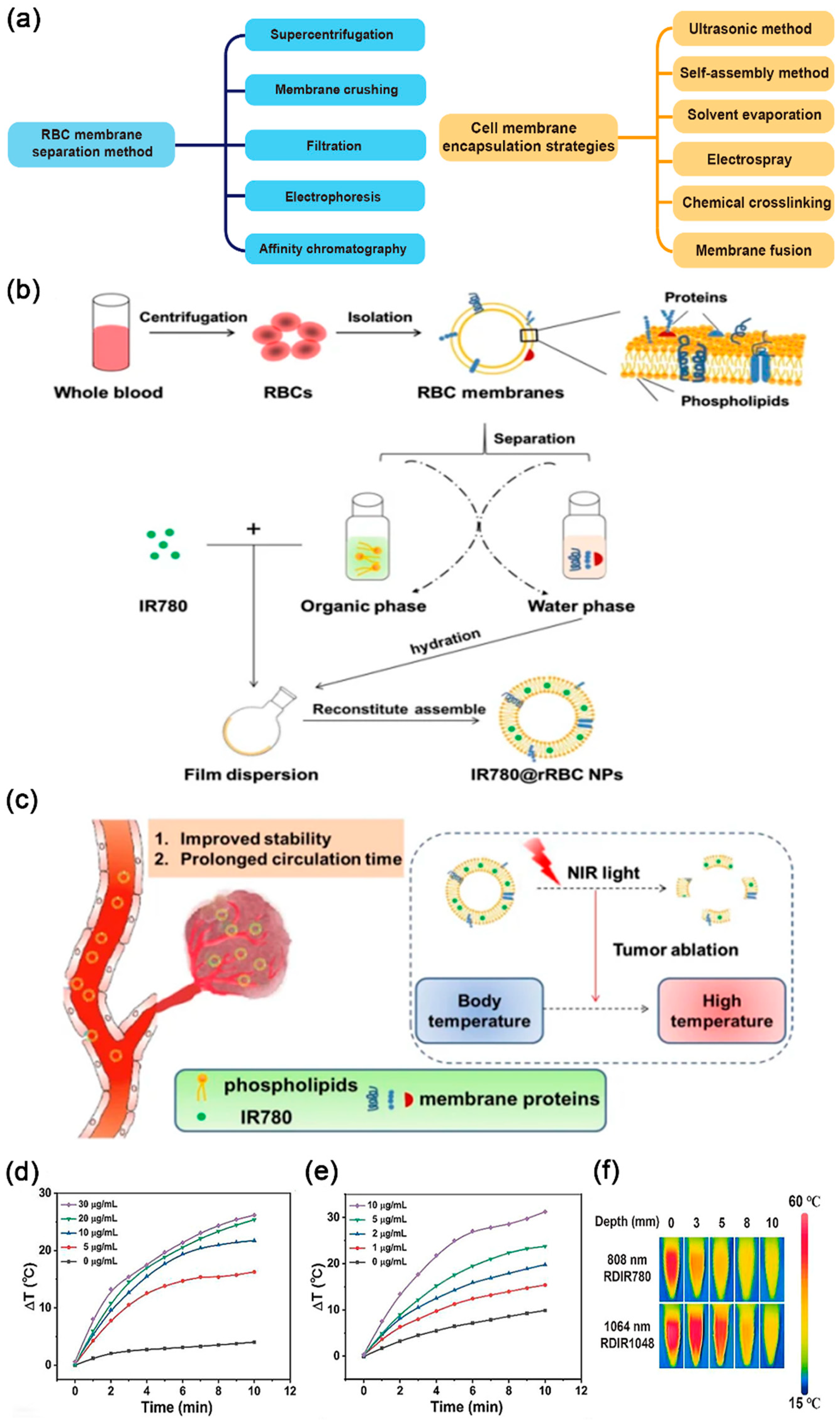 Nanomaterials 14 01757 g001