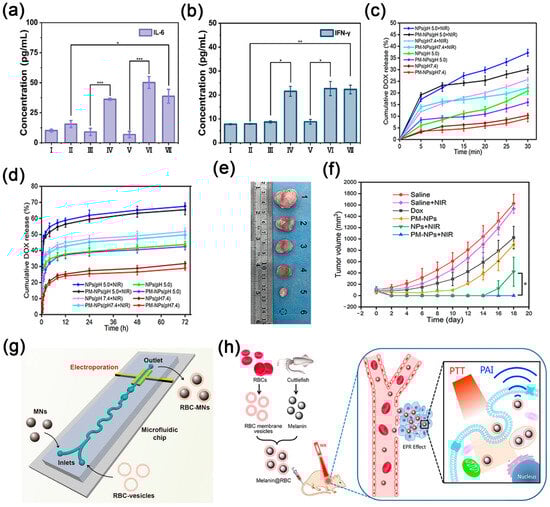 Nanomaterials 14 01757 g002