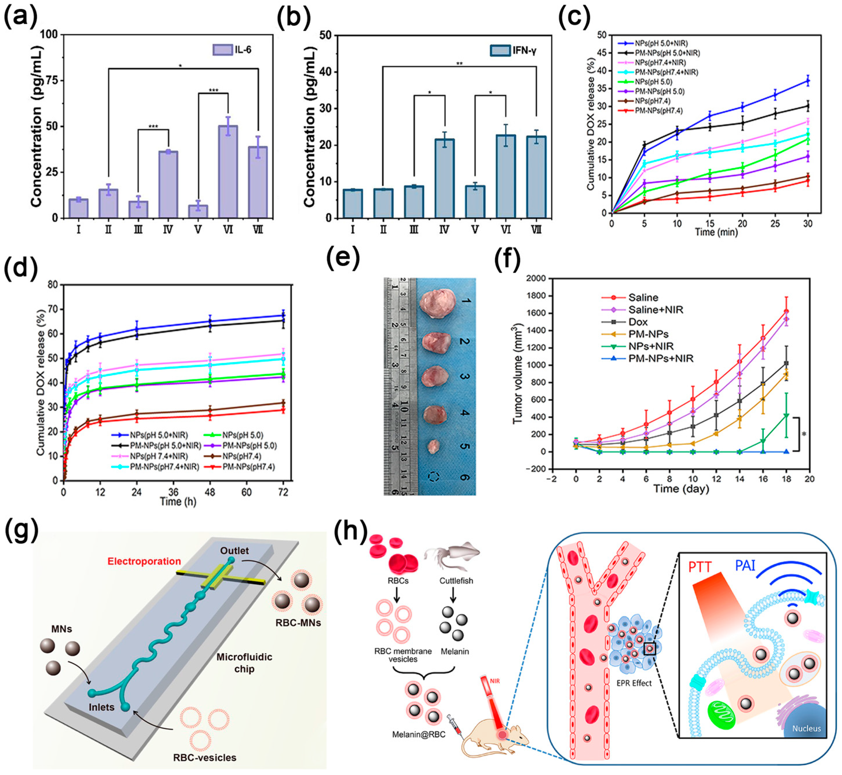 Nanomaterials 14 01757 g002