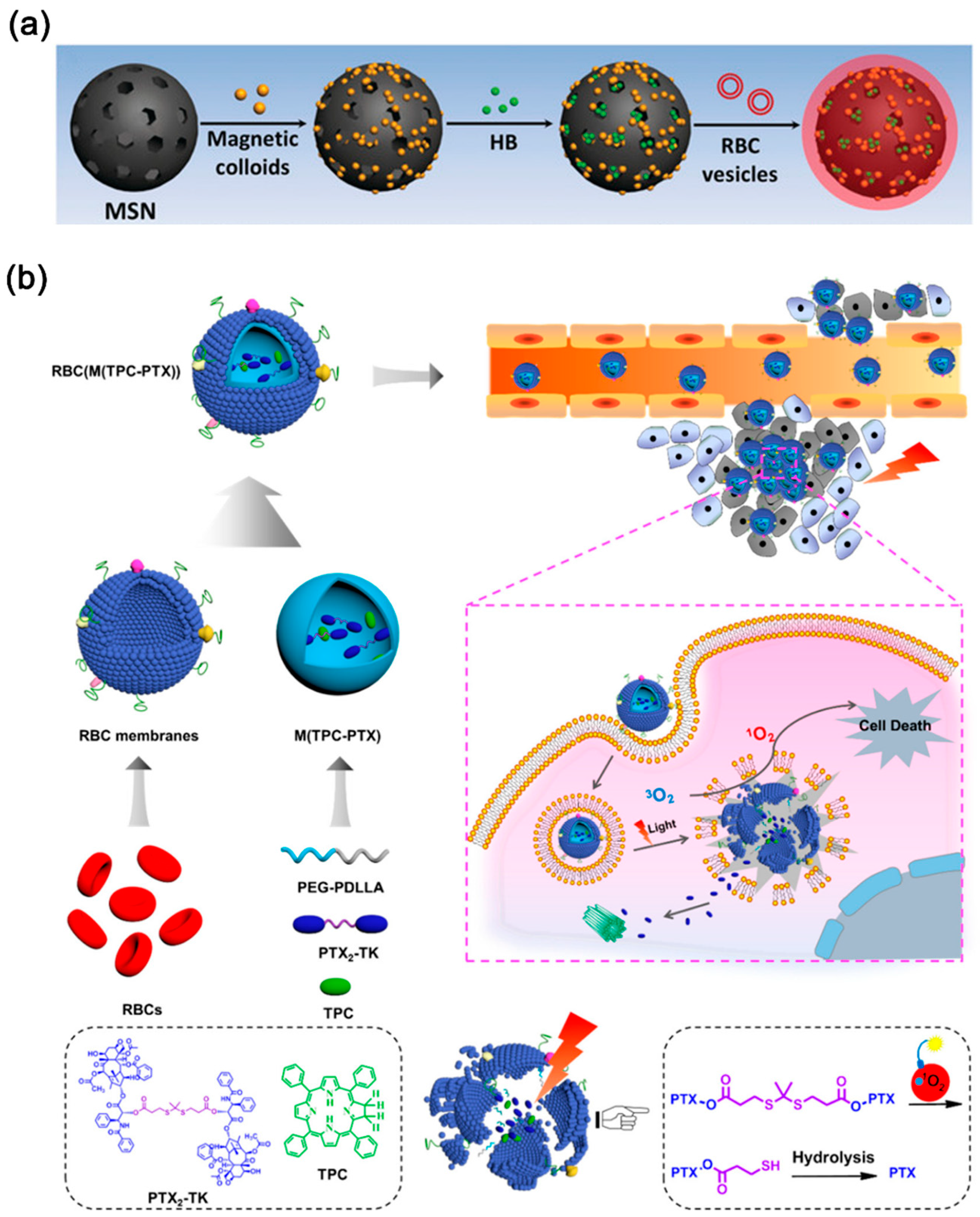 Nanomaterials 14 01757 g004
