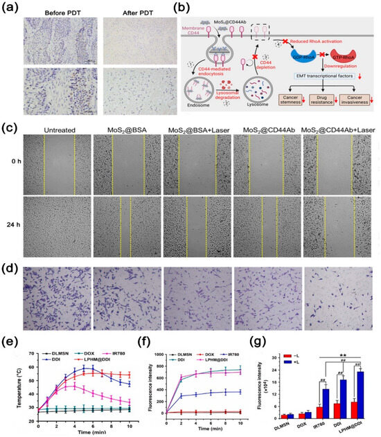 Nanomaterials 14 01757 g005