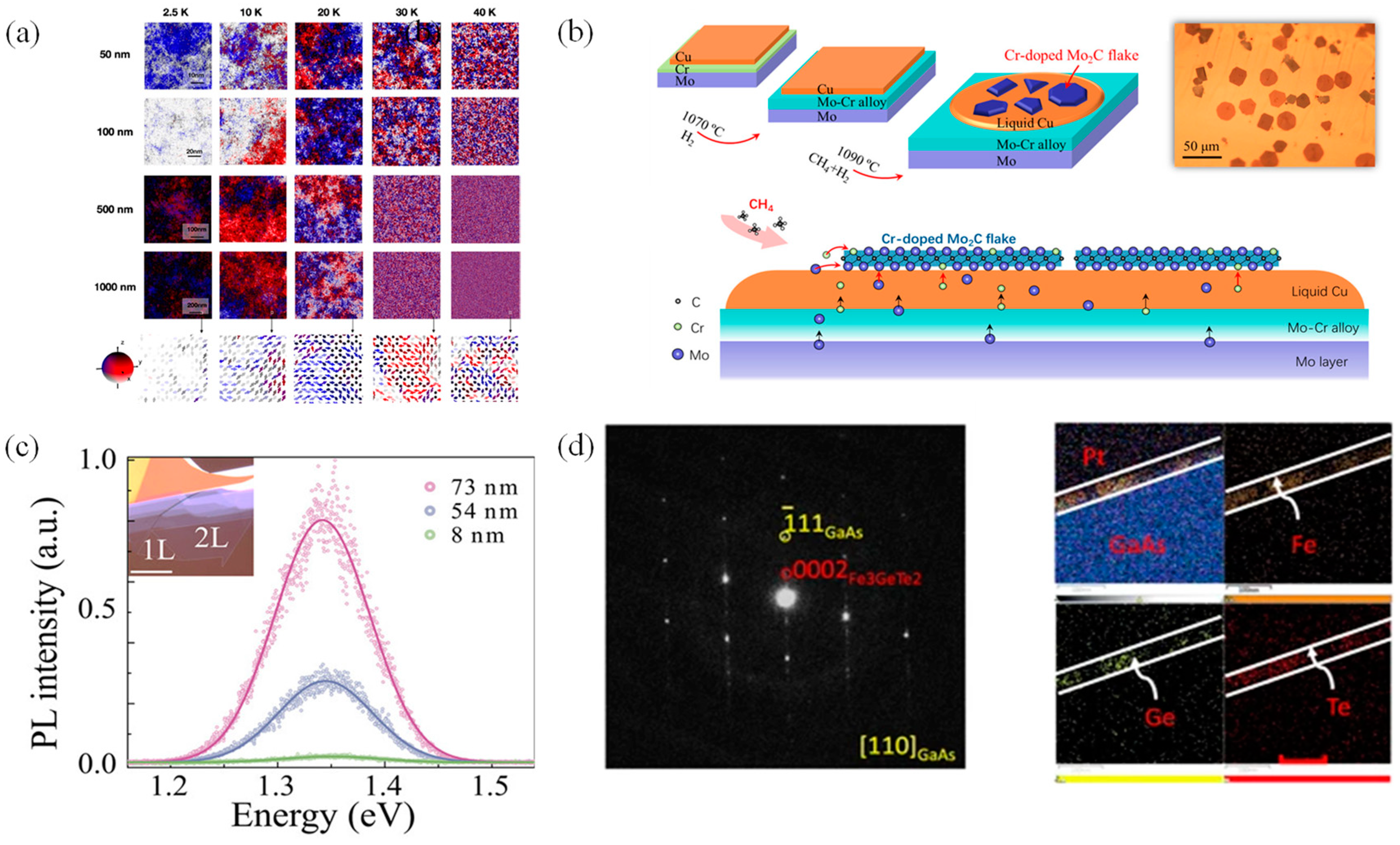 Nanomaterials 14 01759 g001