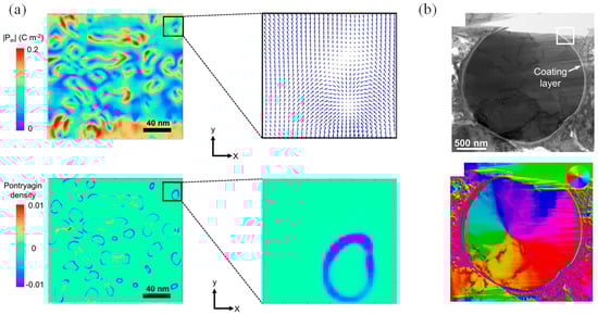 Nanomaterials 14 01759 g011