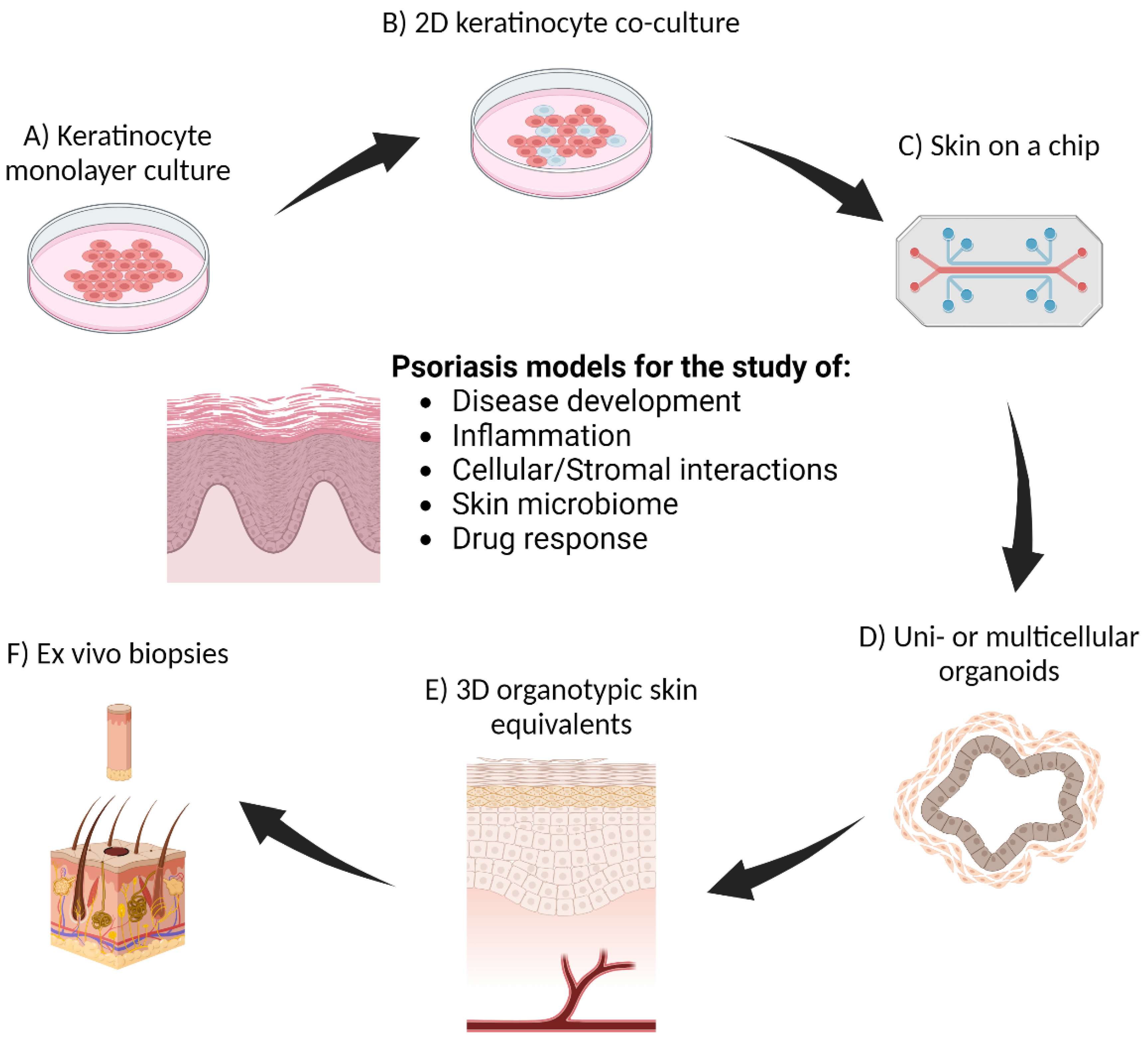 Nanomaterials 14 01760 g002