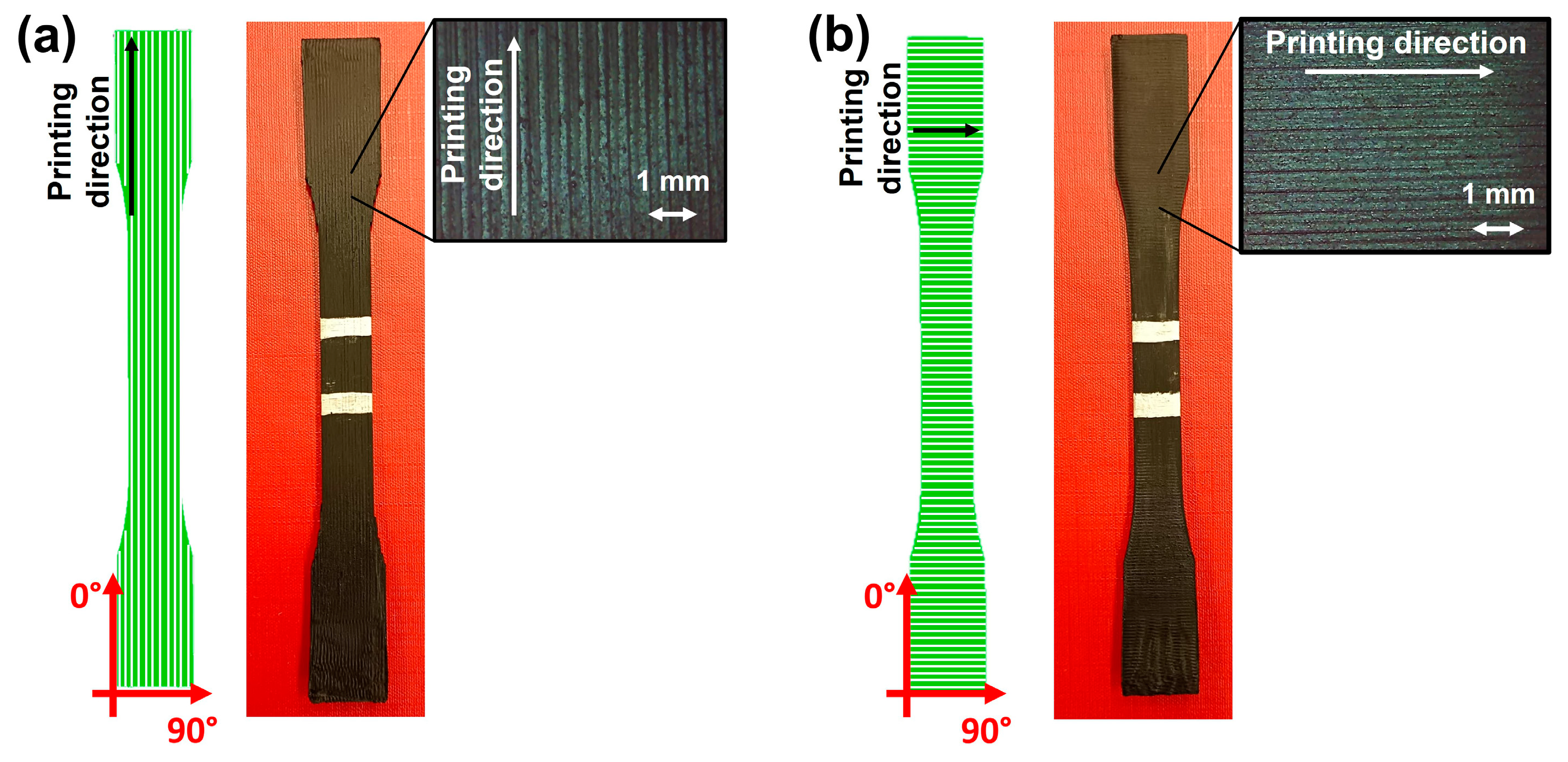 Nanomaterials 14 01761 g001