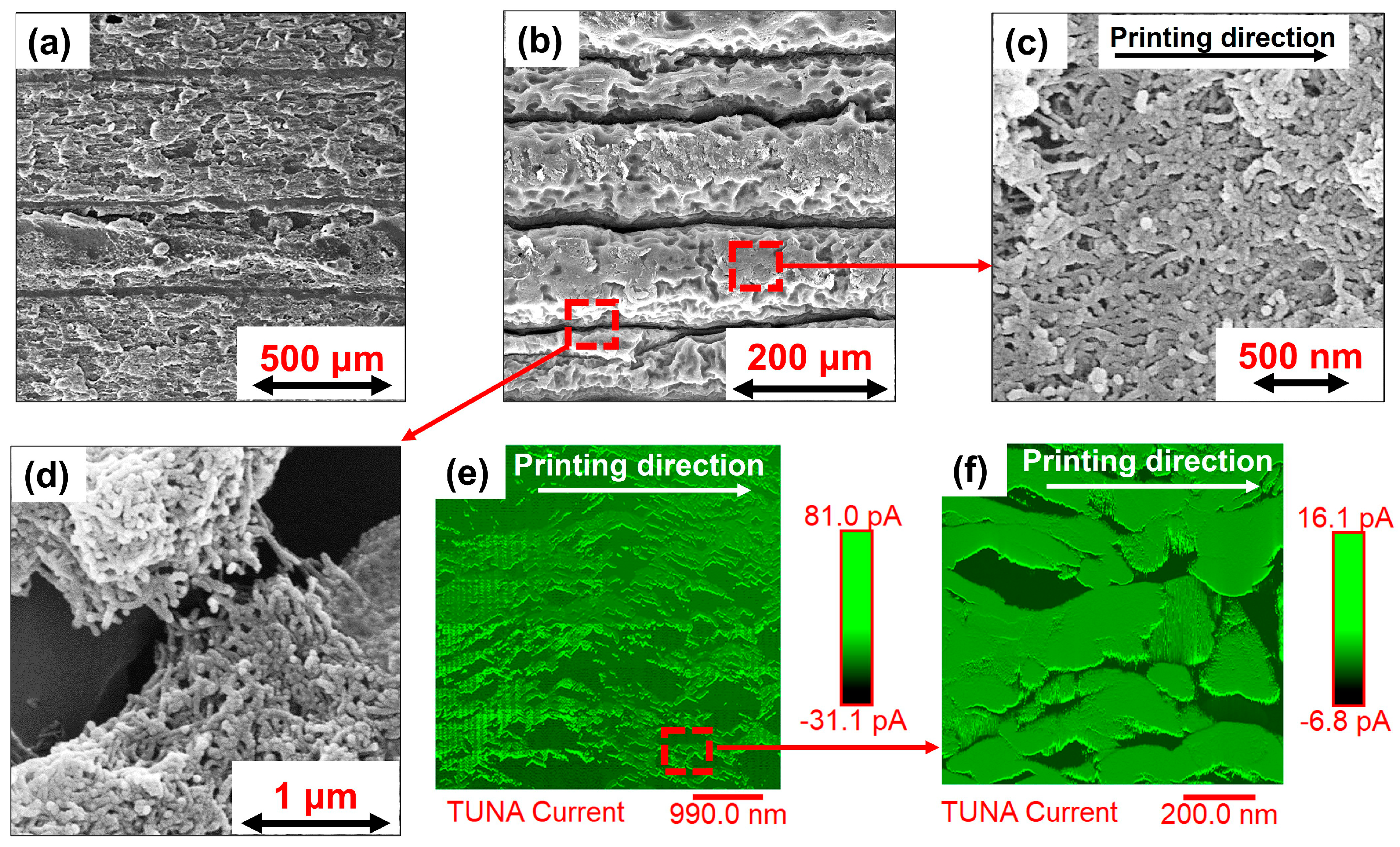 Nanomaterials 14 01761 g004