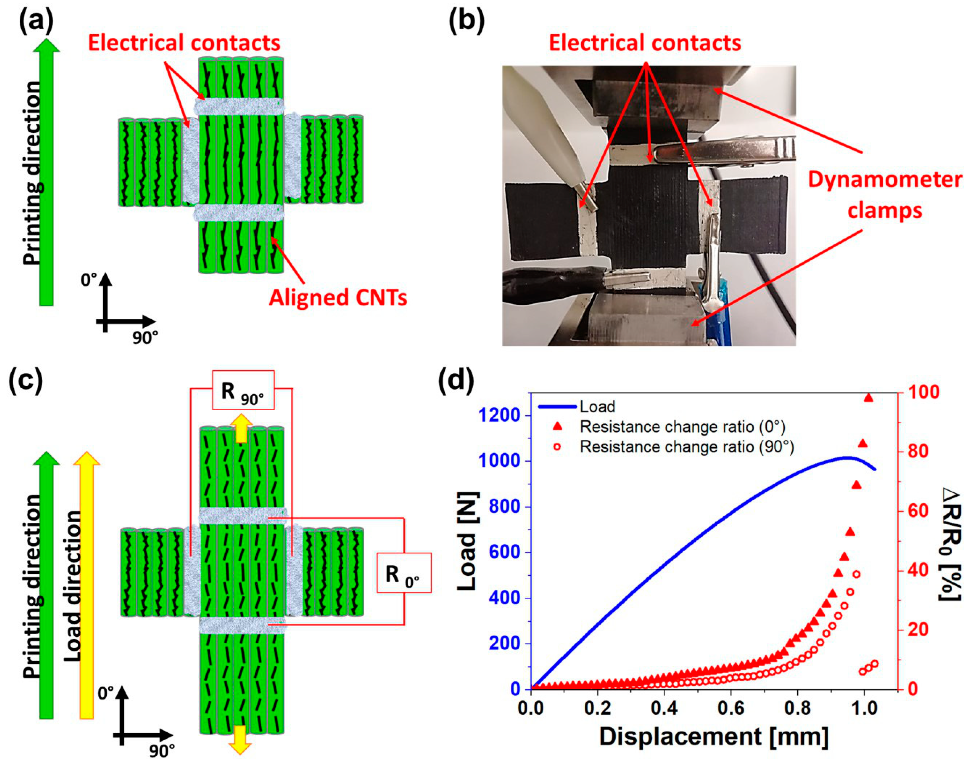 Nanomaterials 14 01761 g010