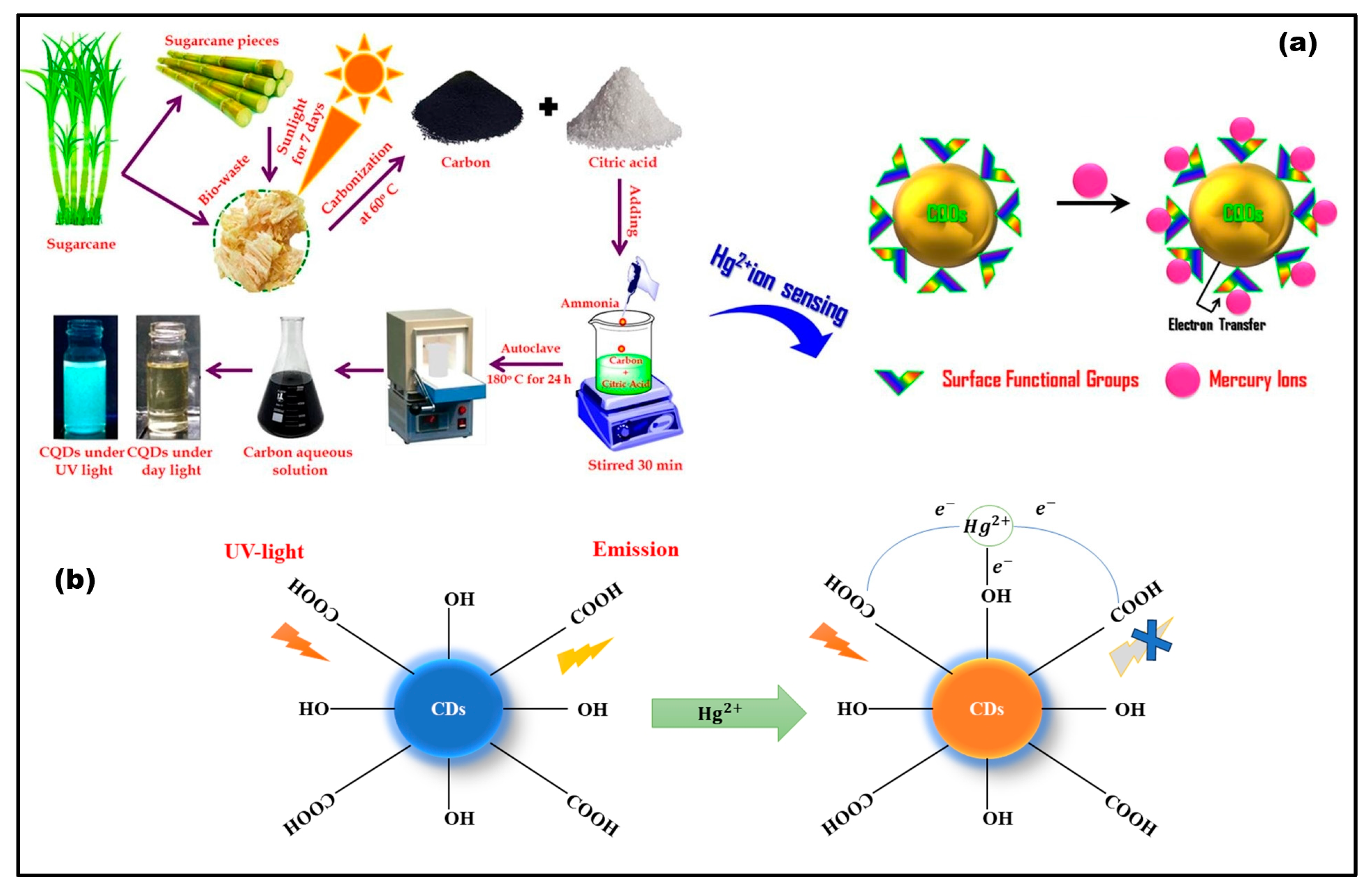 Nanomaterials 14 01766 g003