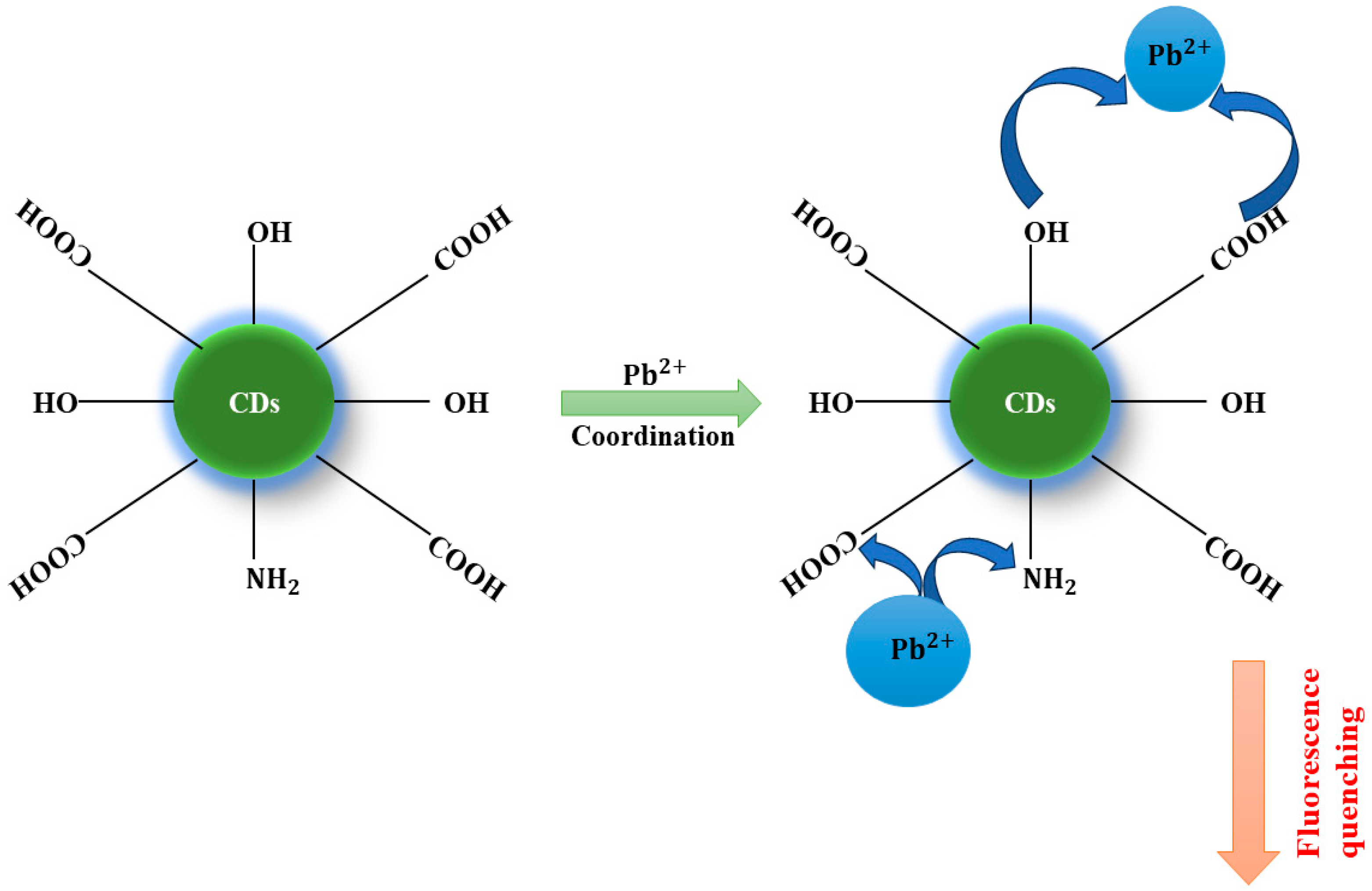 Nanomaterials 14 01766 g004