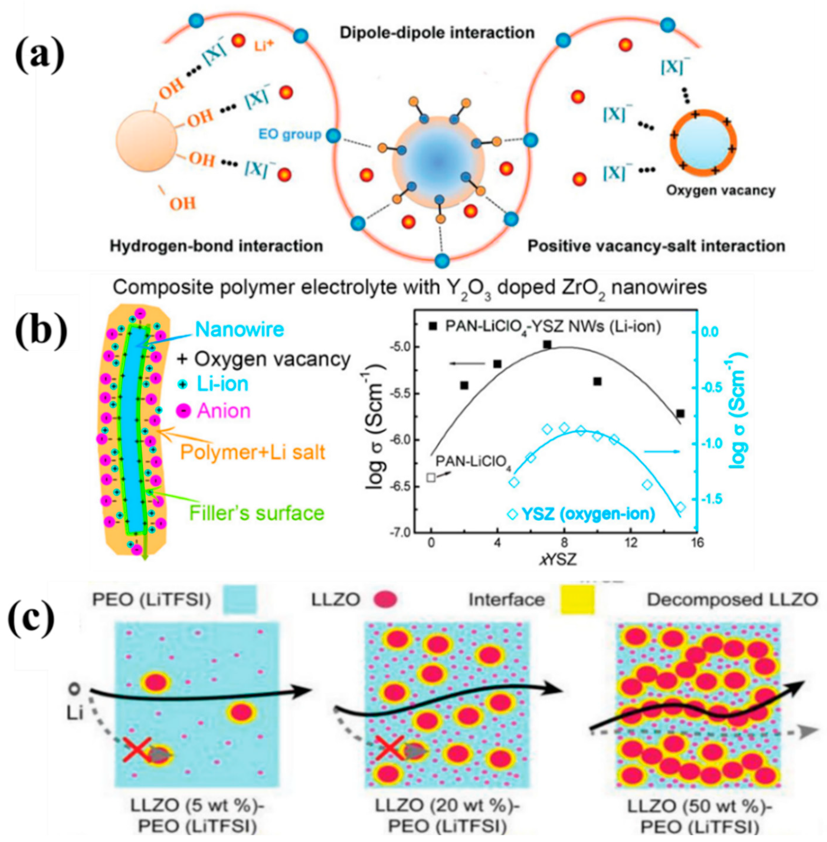 Nanomaterials 14 01773 g013