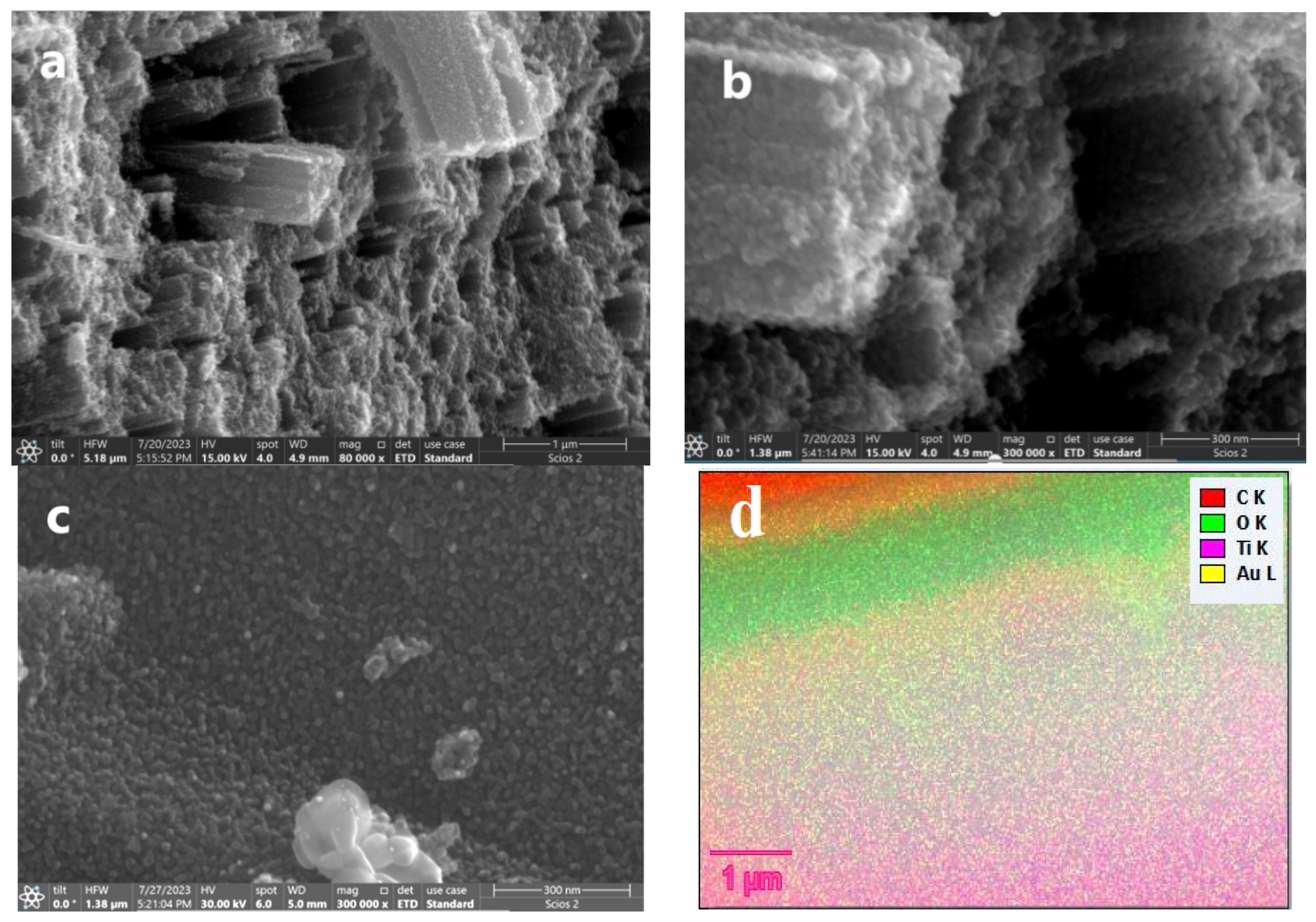 Nanomaterials 14 01780 g003