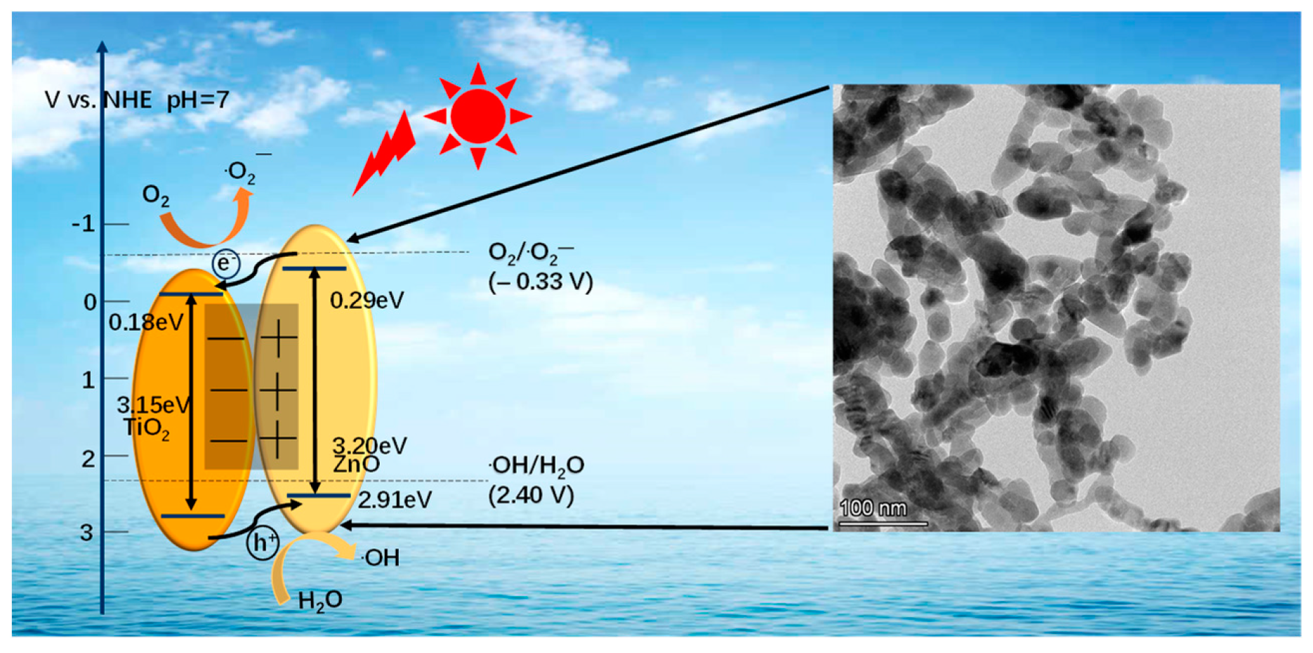 Nanomaterials 14 01802 g011