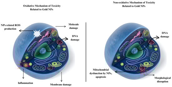 Nanomaterials 14 01805 g009