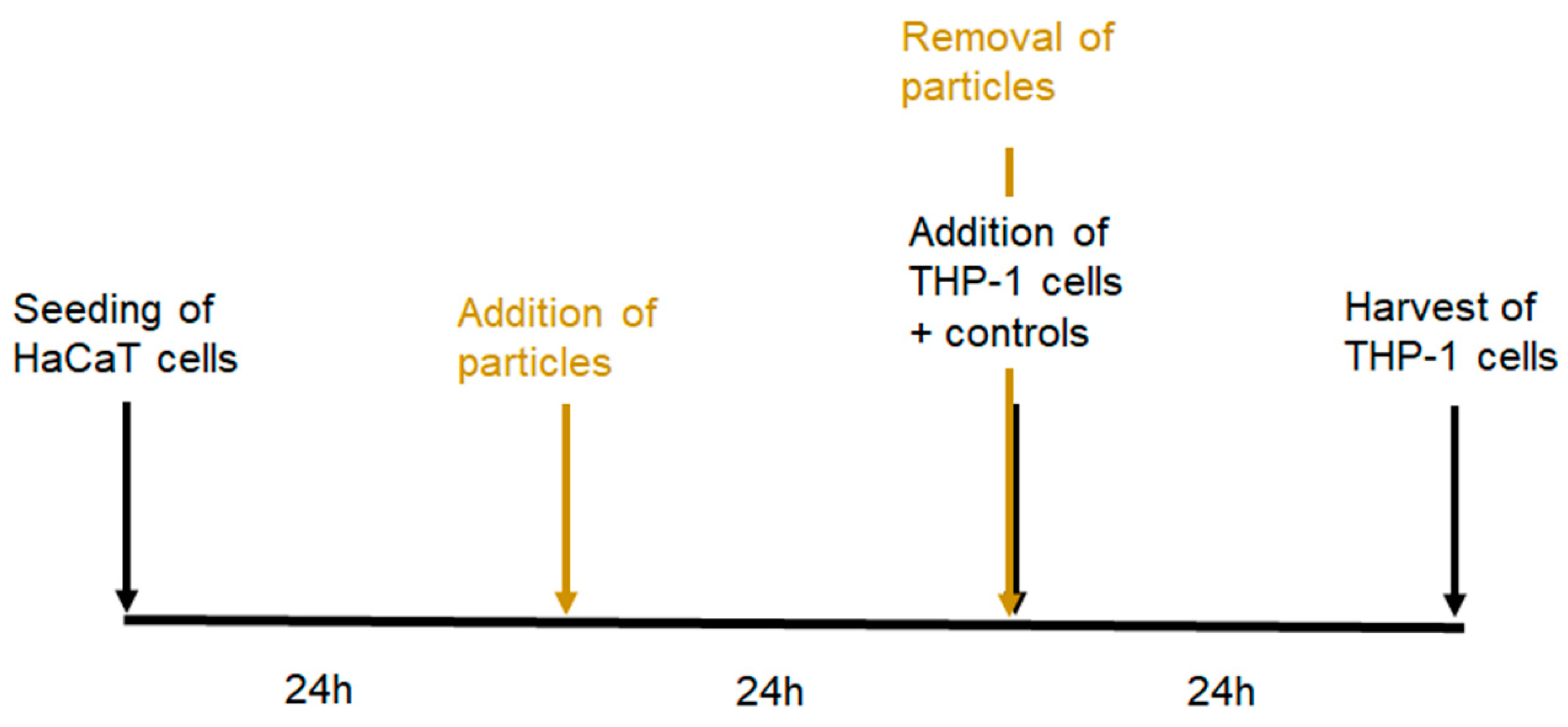 Nanomaterials 14 01811 g001 Nanomaterials 14 01811 g001