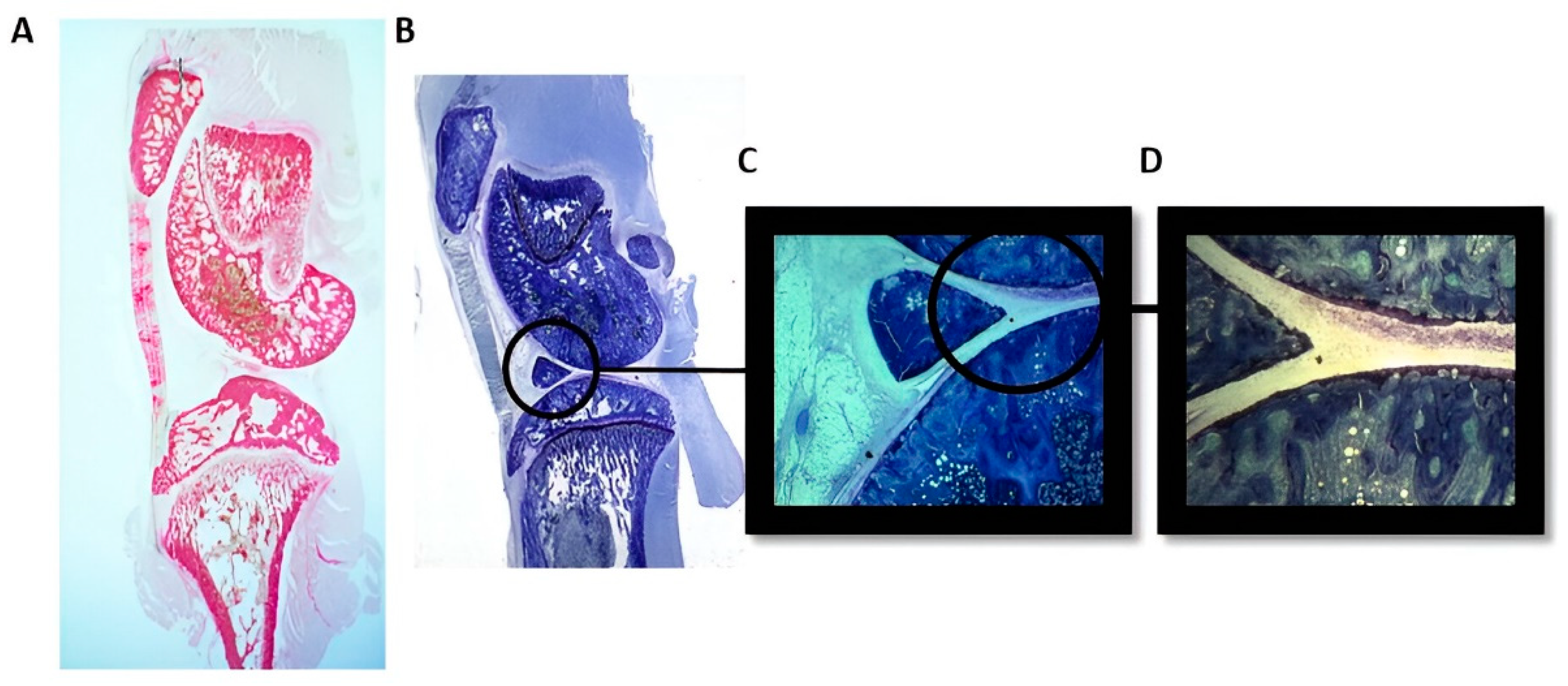 Nanomaterials 14 01815 g004
