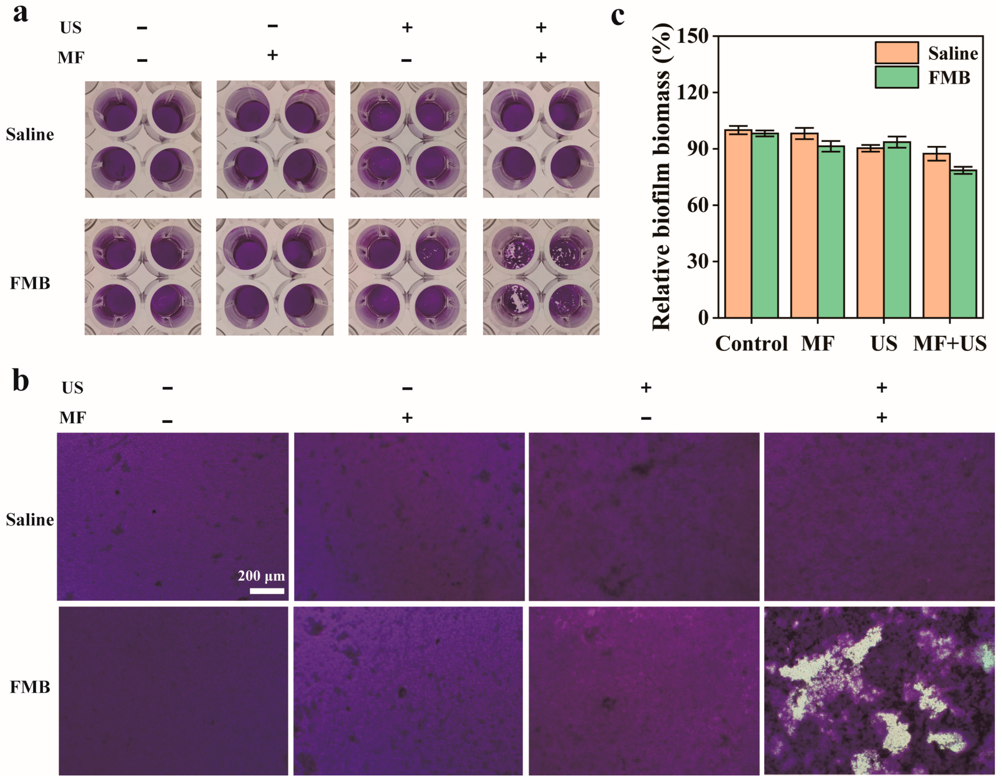 Nanomaterials 14 01830 g005