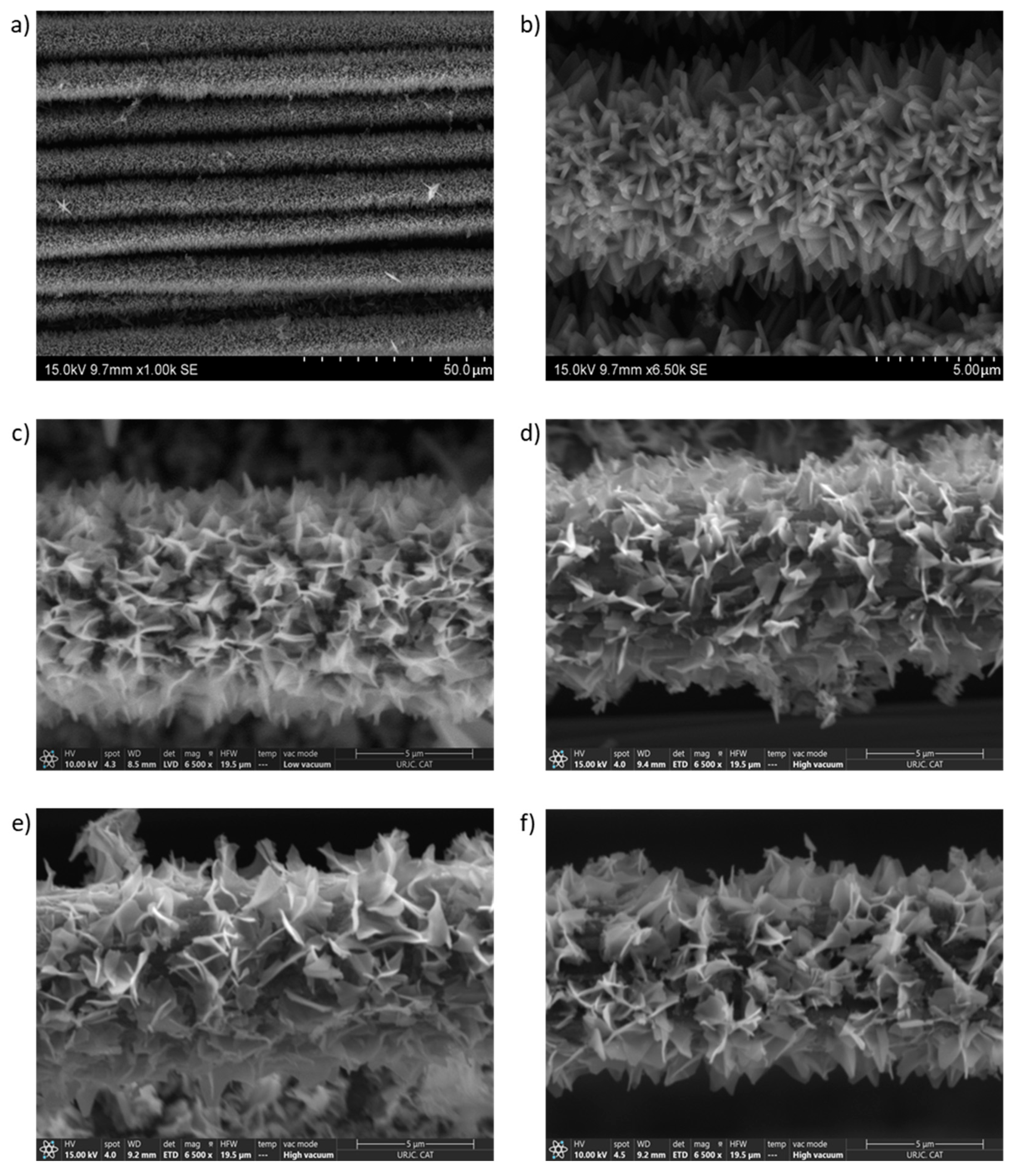 Nanomaterials 14 01846 g001