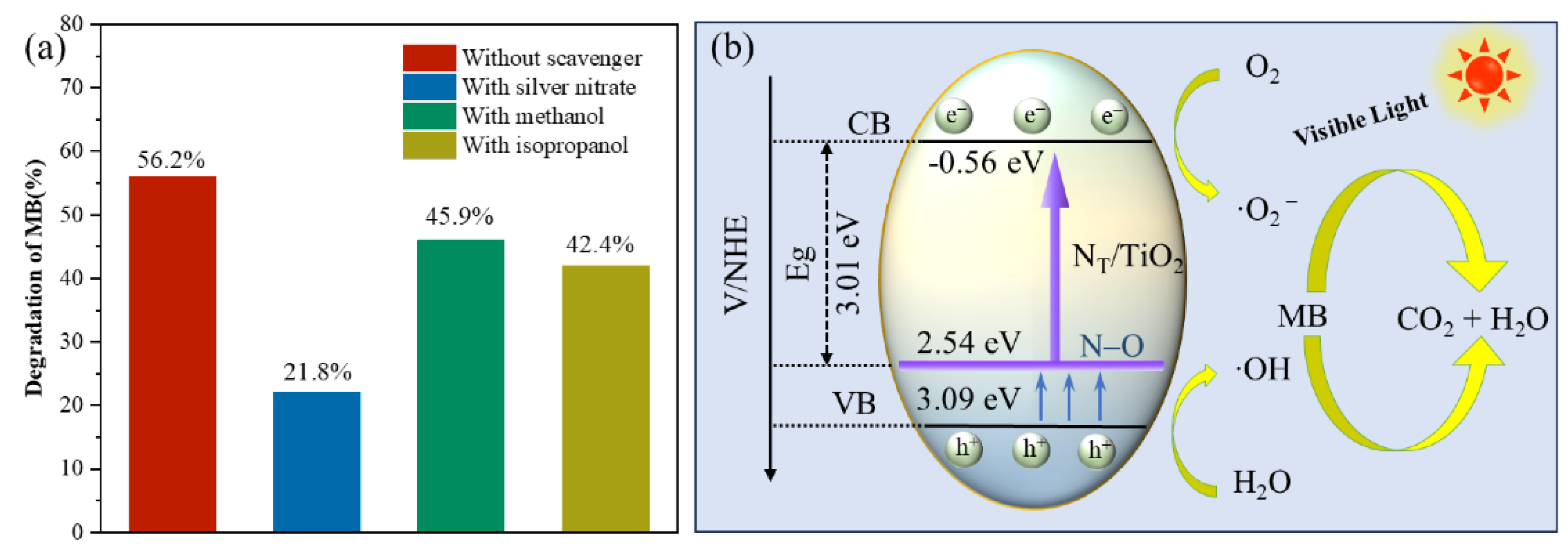 Nanomaterials 14 01847 g003