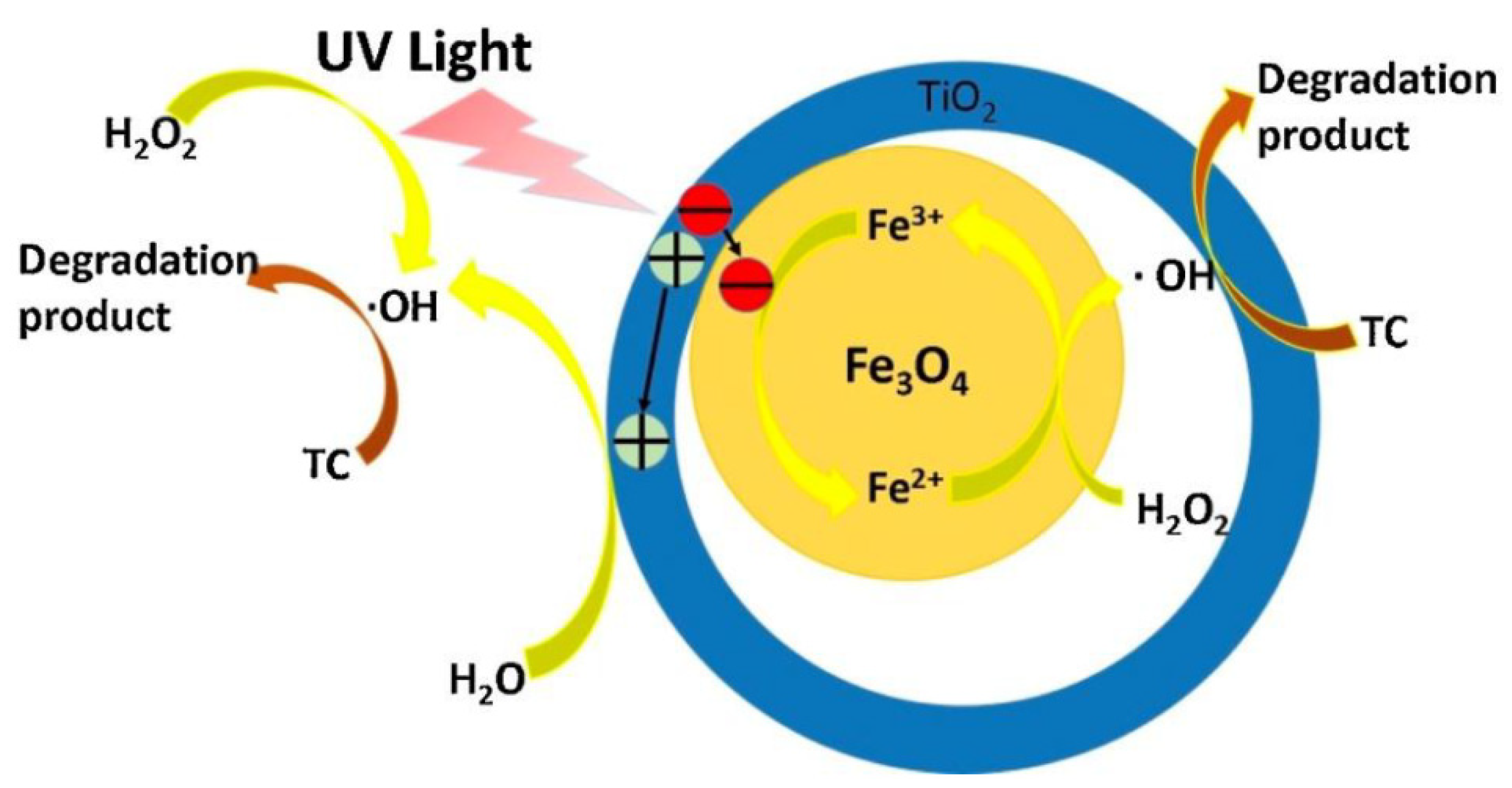 Nanomaterials 14 01847 g004