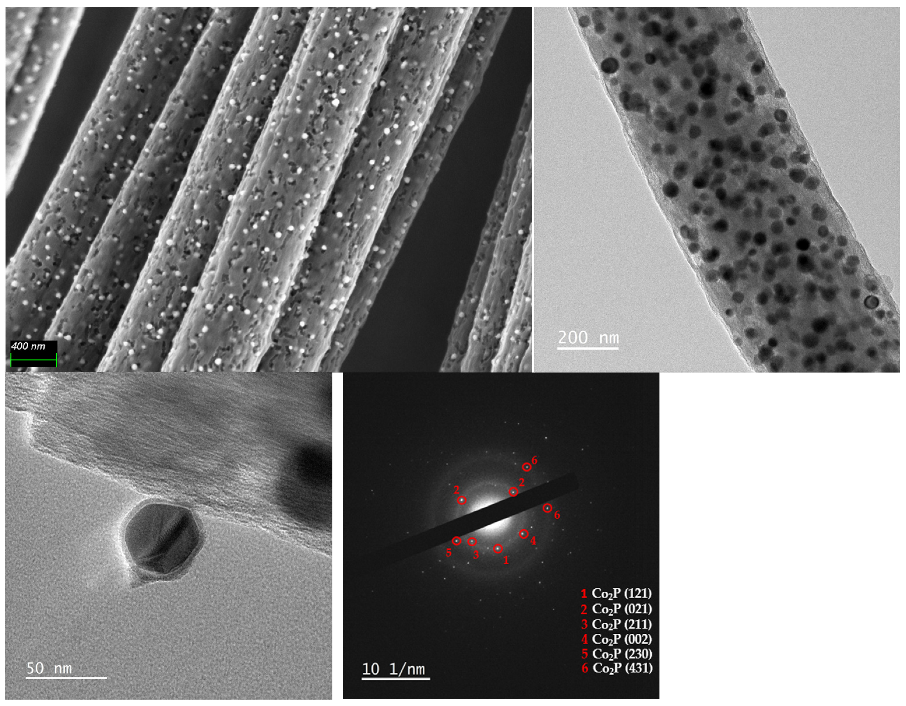 Nanomaterials 14 01849 g005