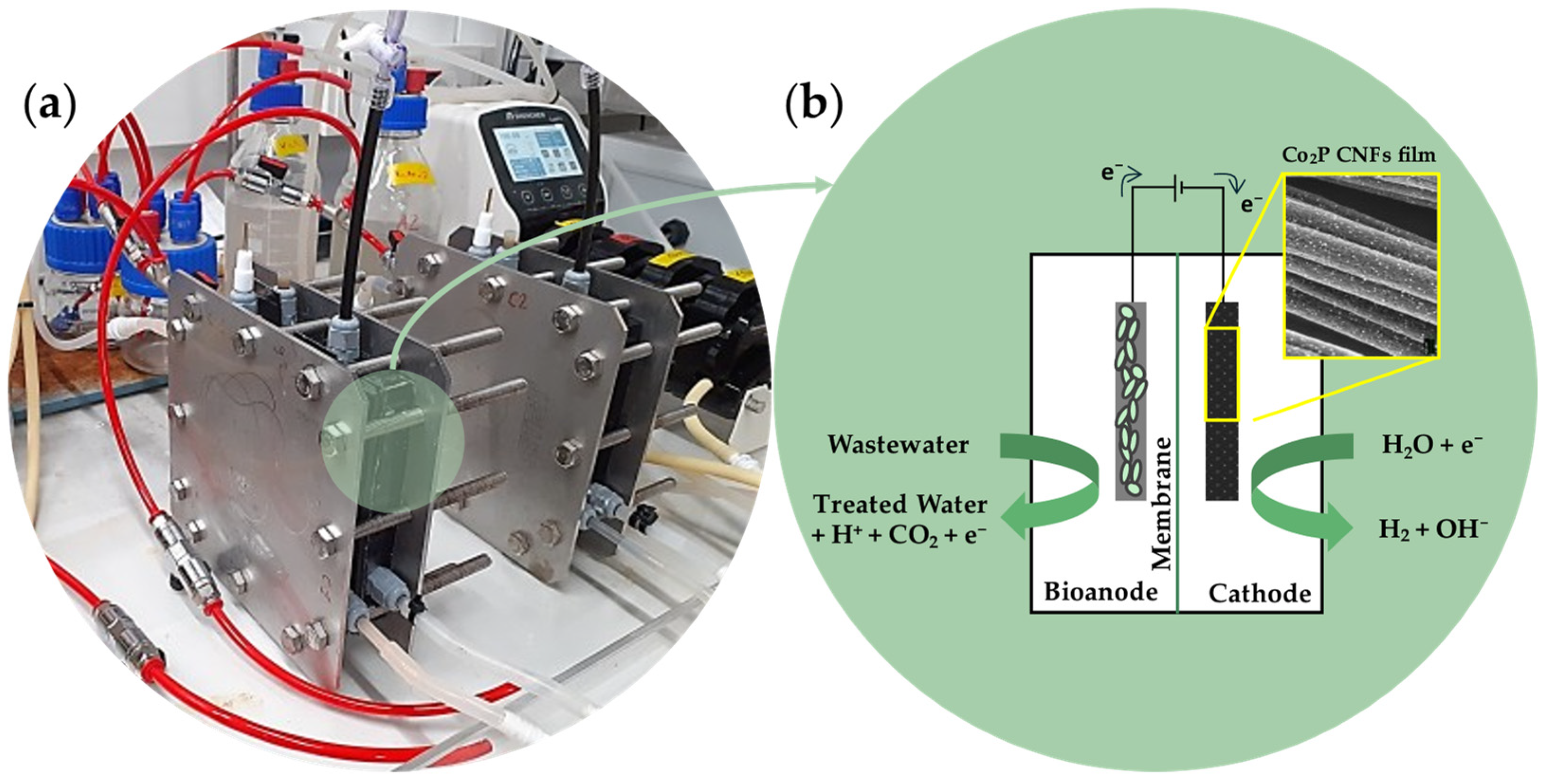 Nanomaterials 14 01849 g008