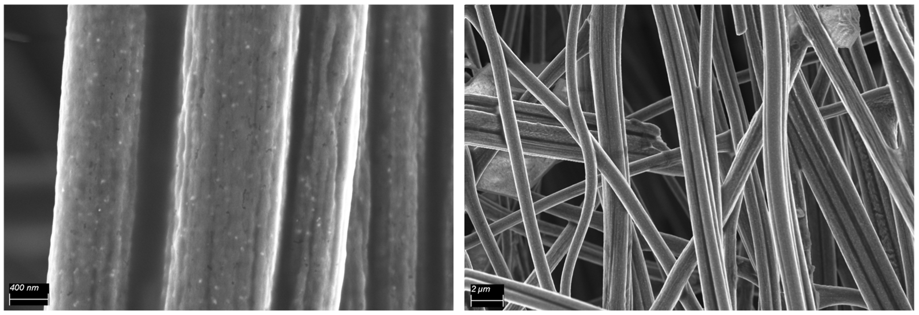 Nanomaterials 14 01849 g010