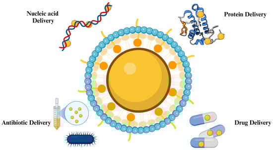 Nanomaterials 14 01854 g004