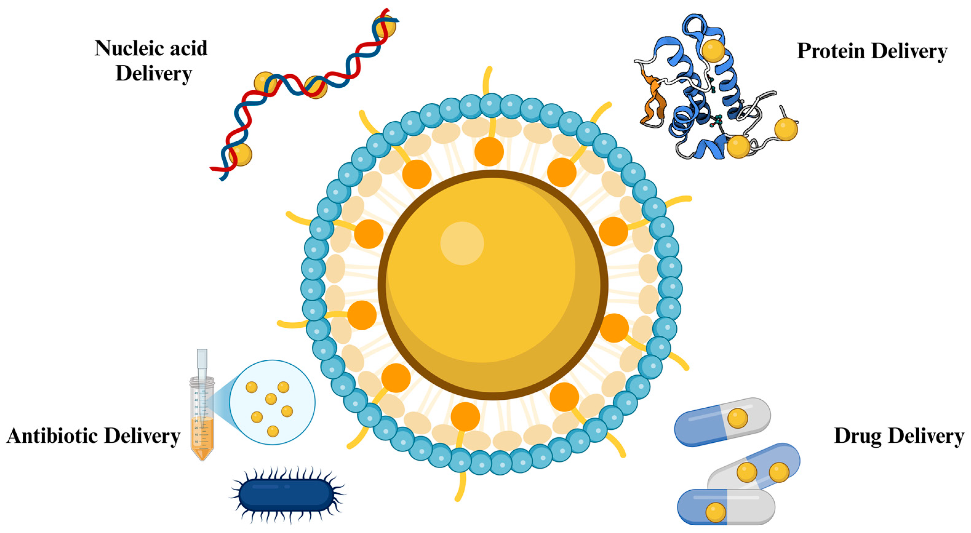 Nanomaterials 14 01854 g004