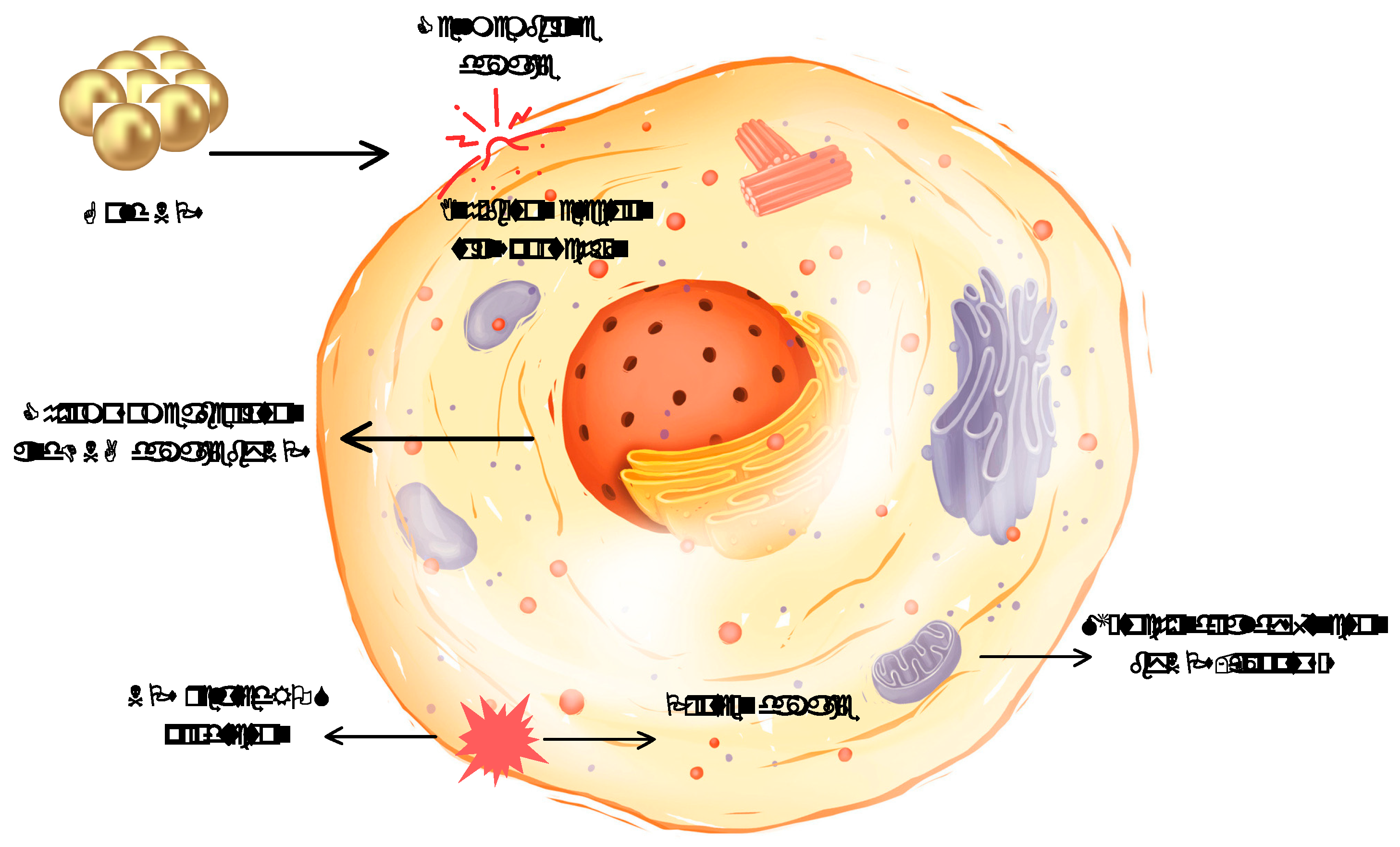 Nanomaterials 14 01854 g008