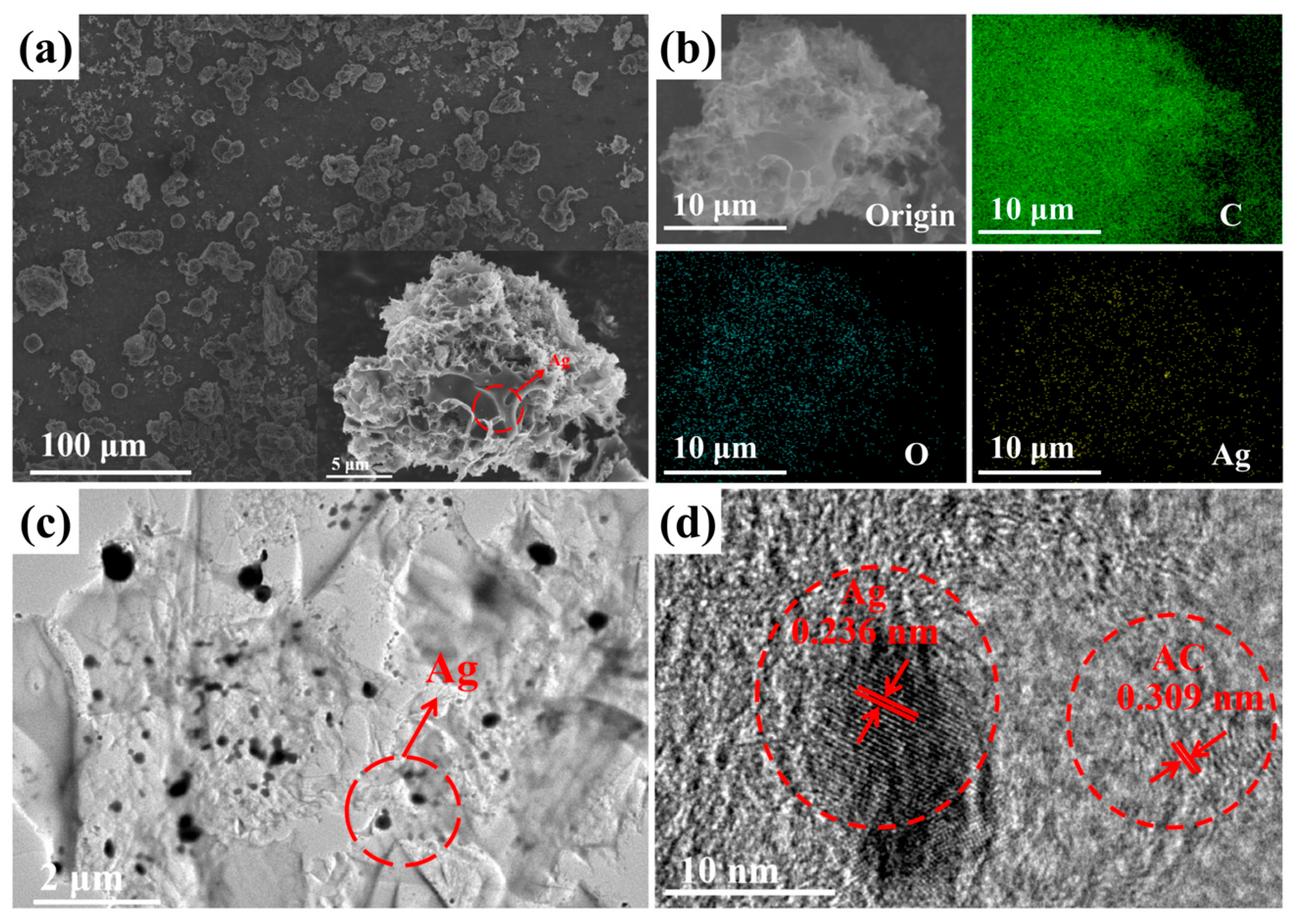 Nanomaterials 14 01857 g003