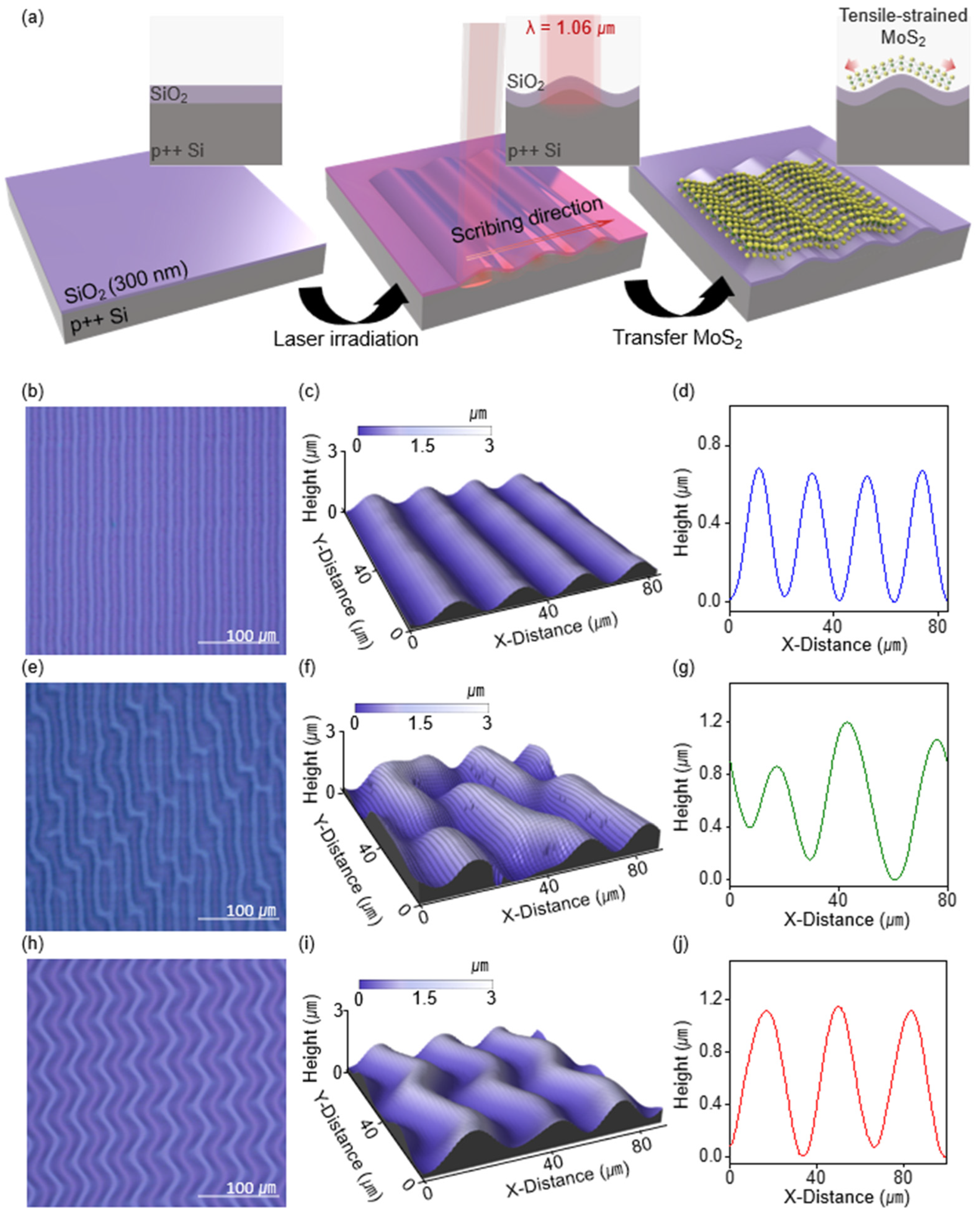 Nanomaterials 14 01872 g001