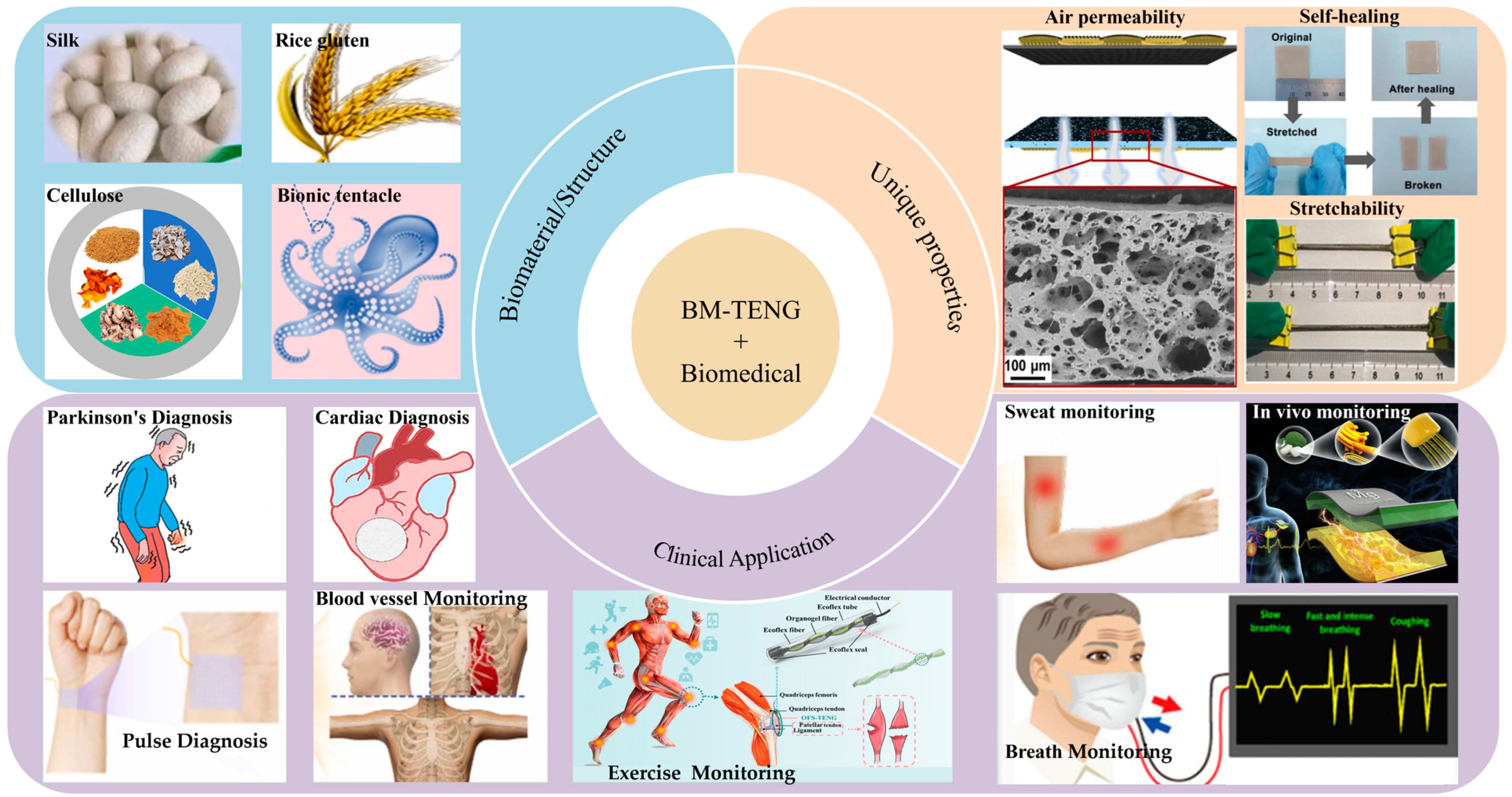 Nanomaterials 14 01885 g001 Nanomaterials 14 01885 g001