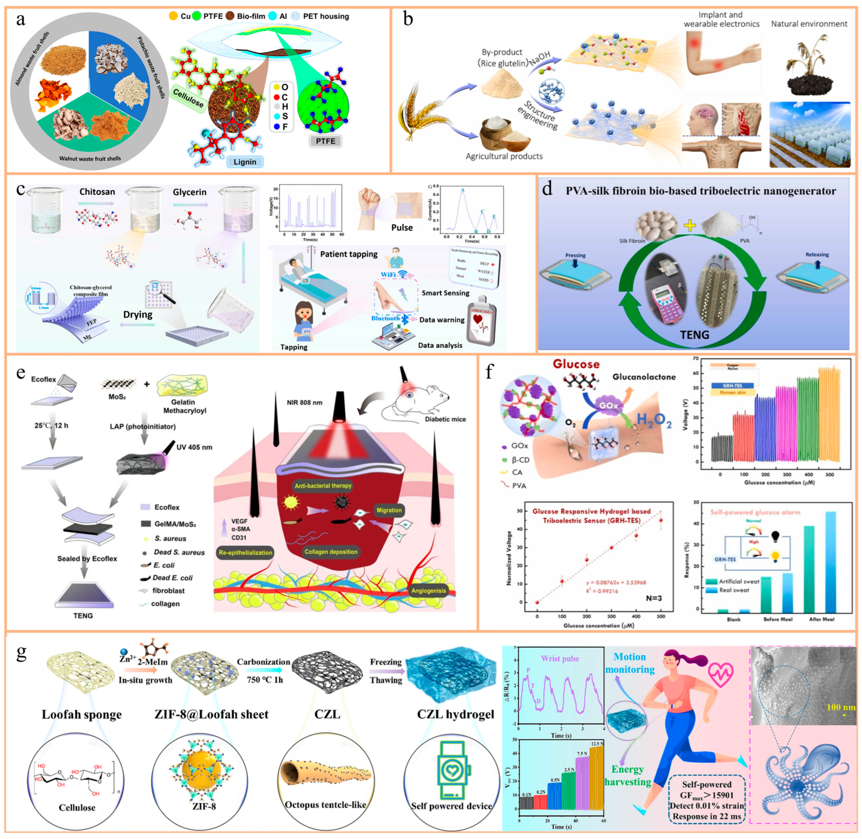 Nanomaterials 14 01885 g004 Nanomaterials 14 01885 g004