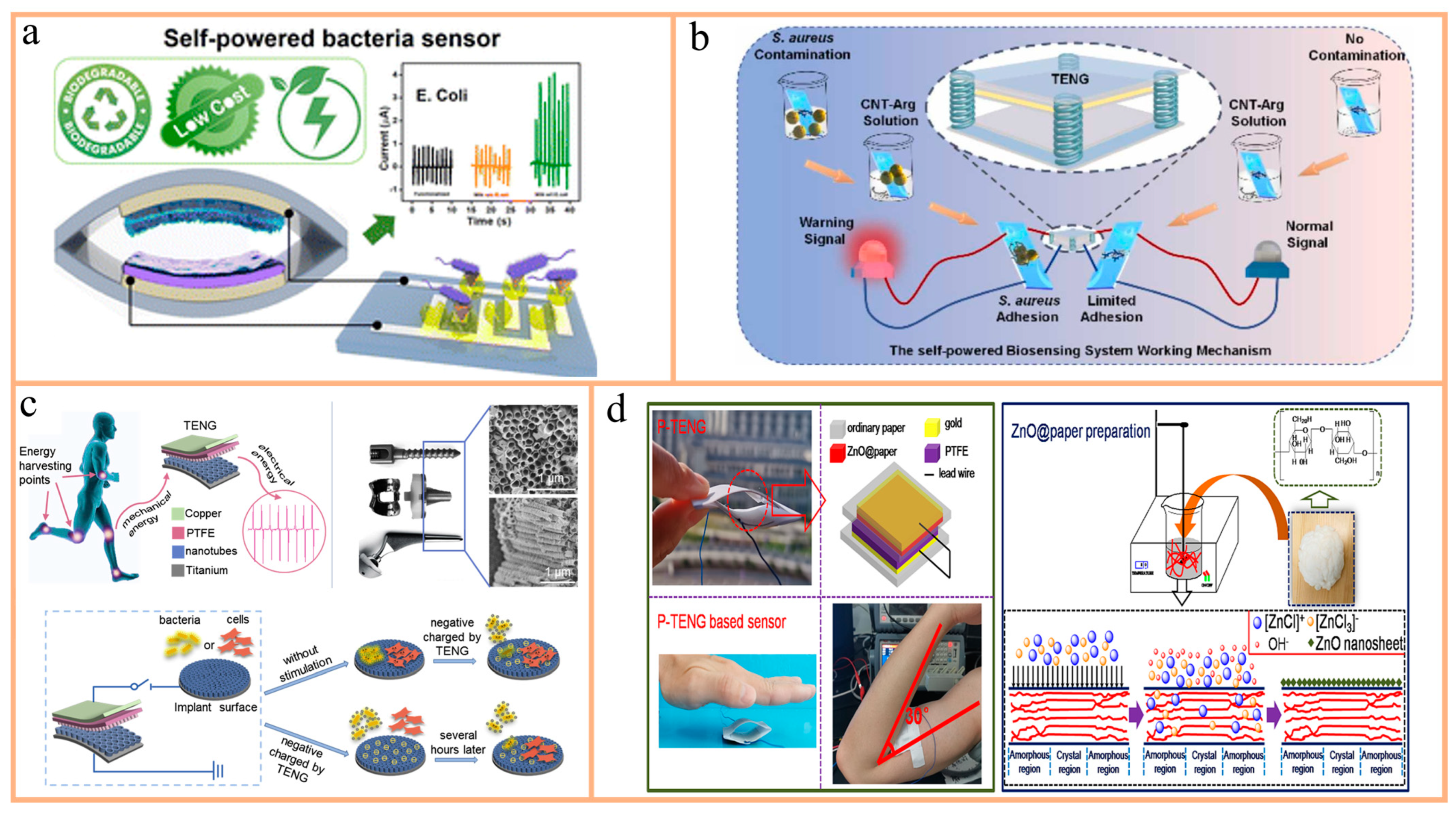 Nanomaterials 14 01885 g007 Nanomaterials 14 01885 g007