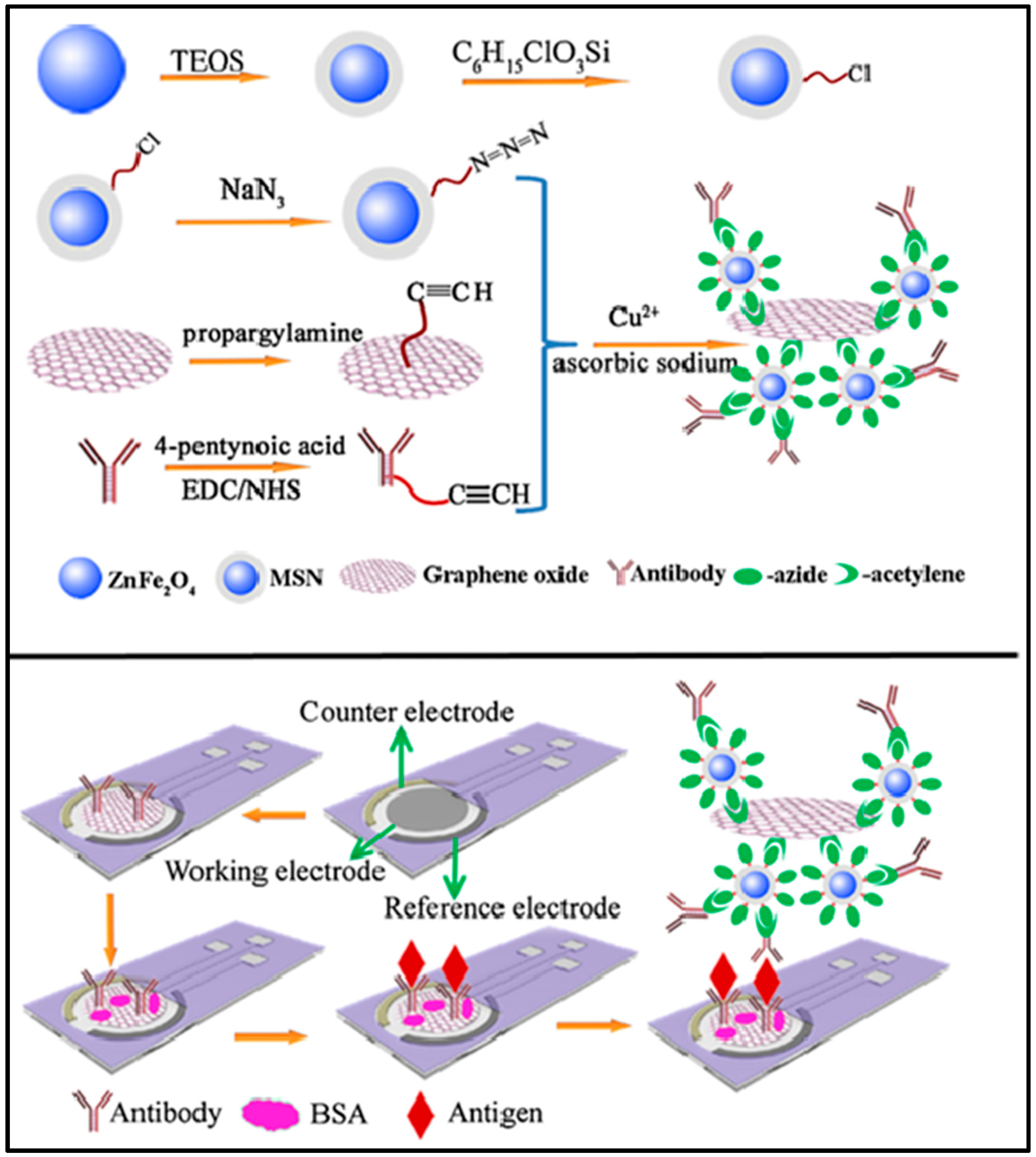 Nanomaterials 14 01890 g003