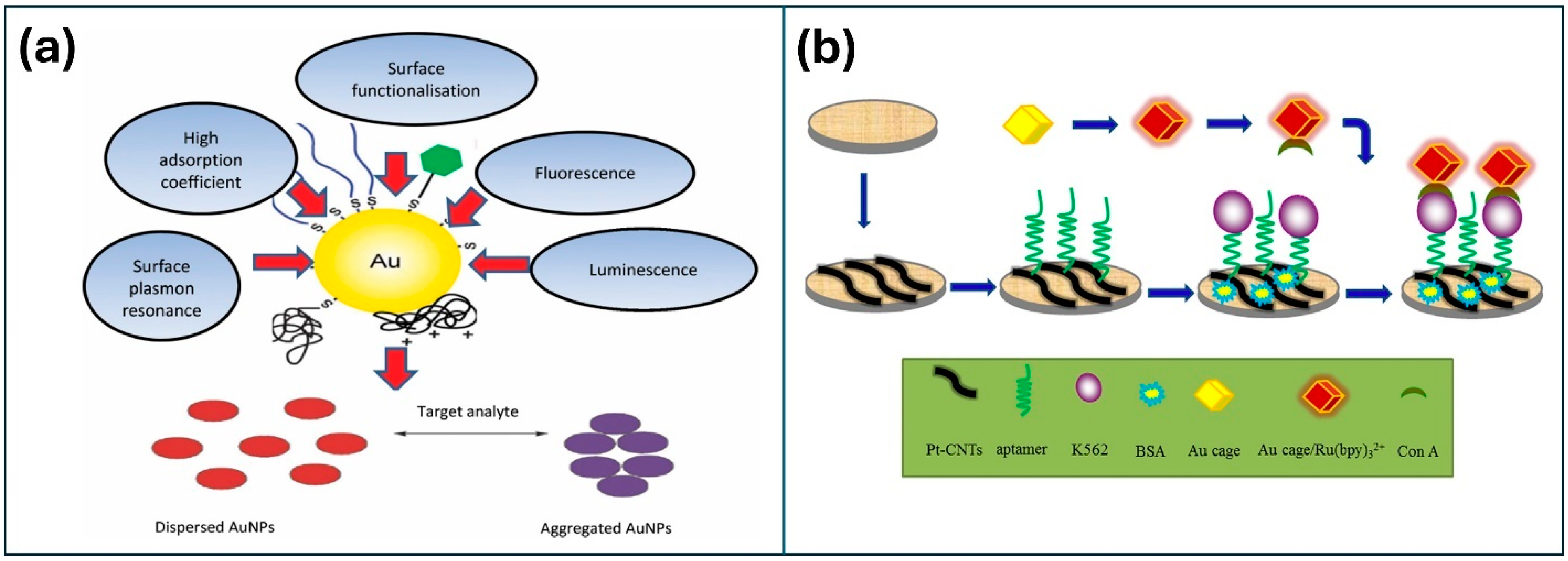 Nanomaterials 14 01890 g006