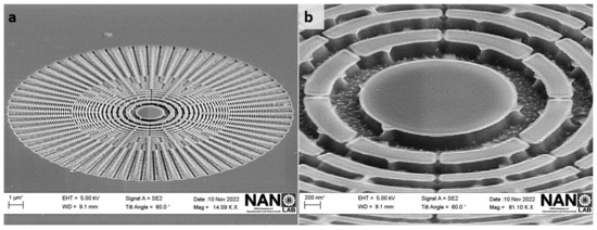 Nanomaterials 14 01898 g0a3
