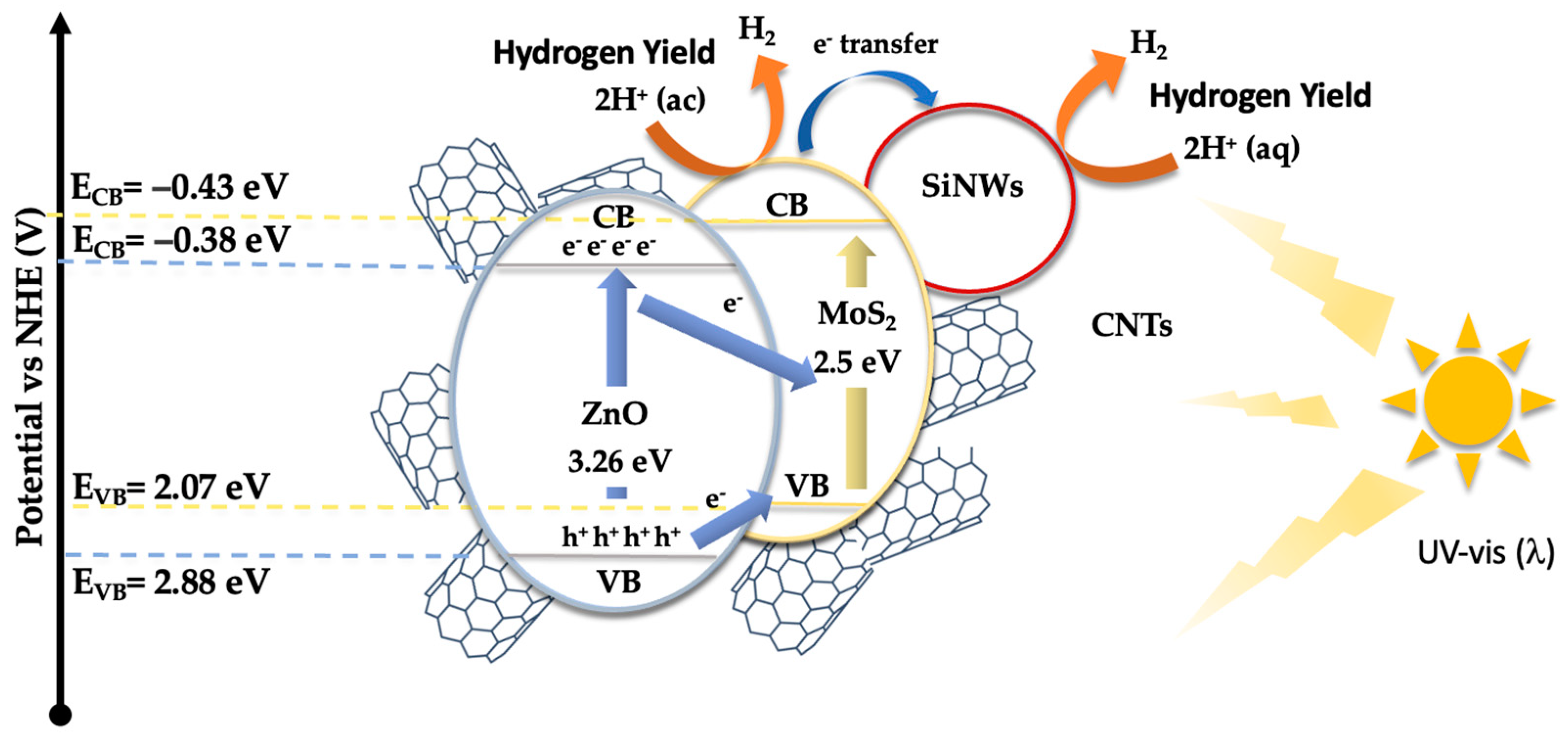 Nanomaterials 14 01911 g009