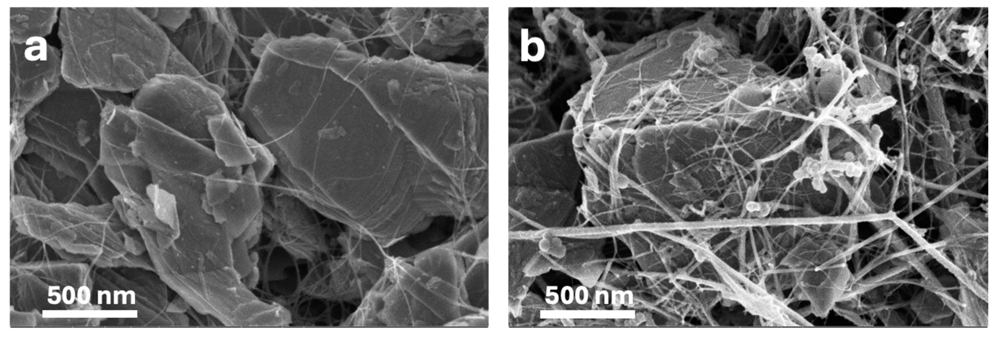 Nanomaterials 14 01911 g010