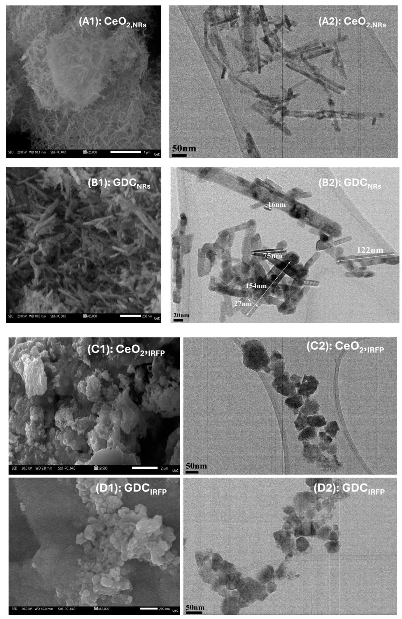 Nanomaterials 14 01928 g001