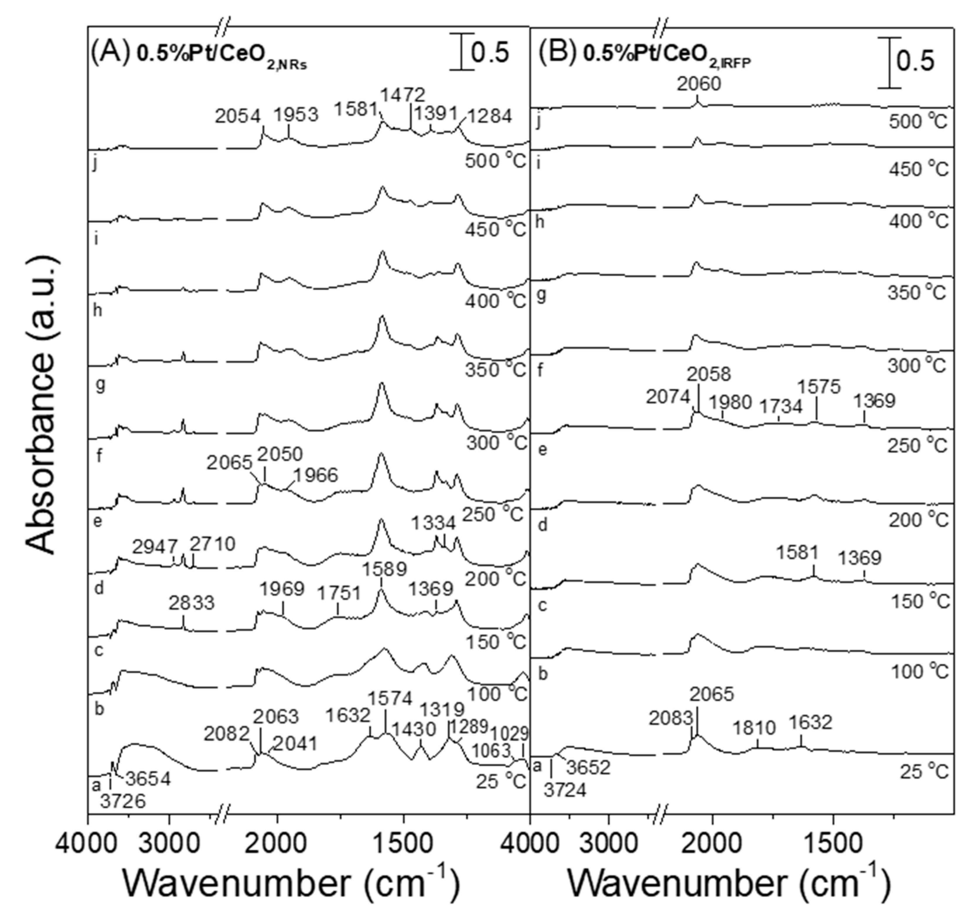 Nanomaterials 14 01928 g010