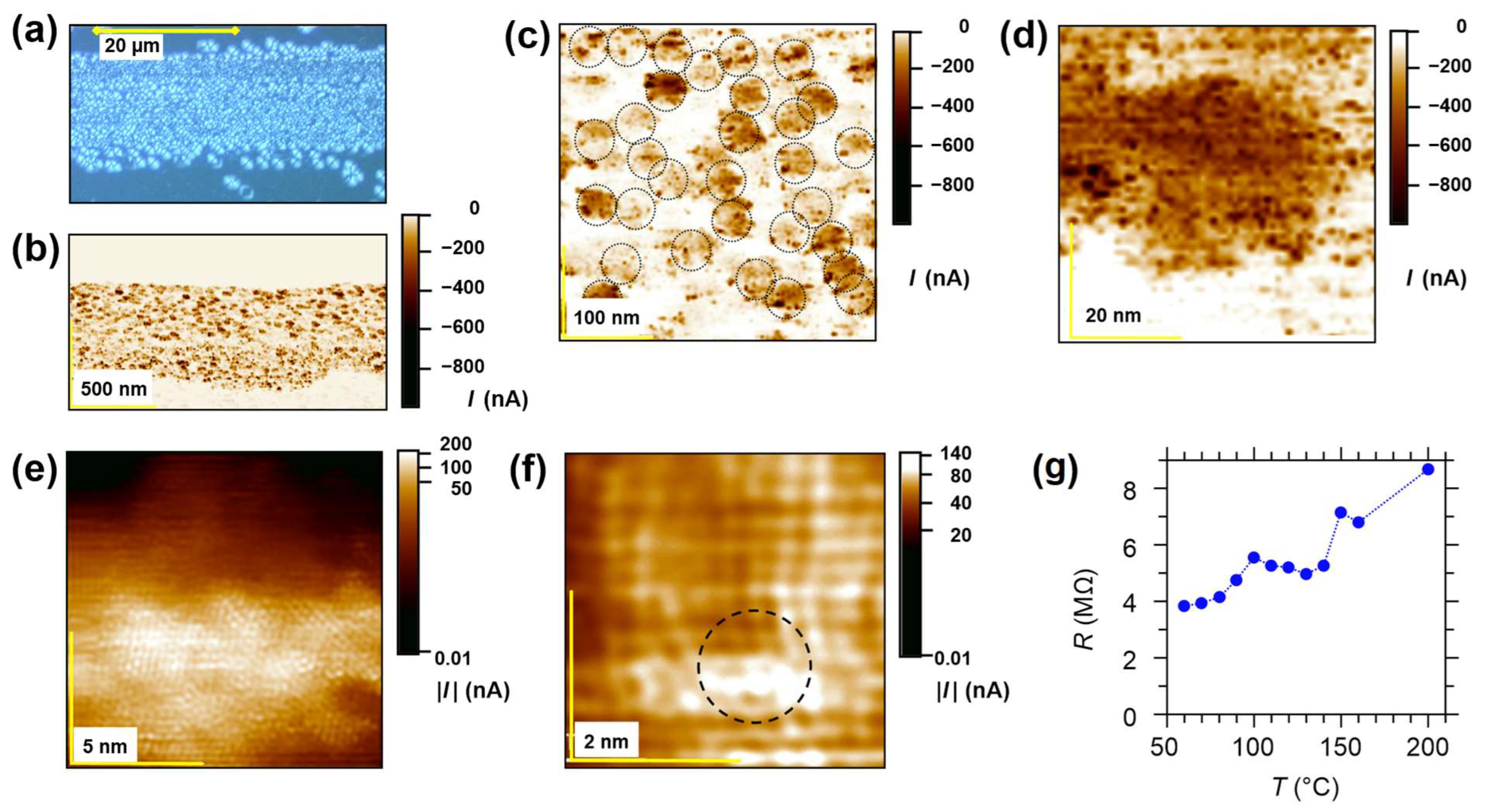 Nanomaterials 14 01944 g009